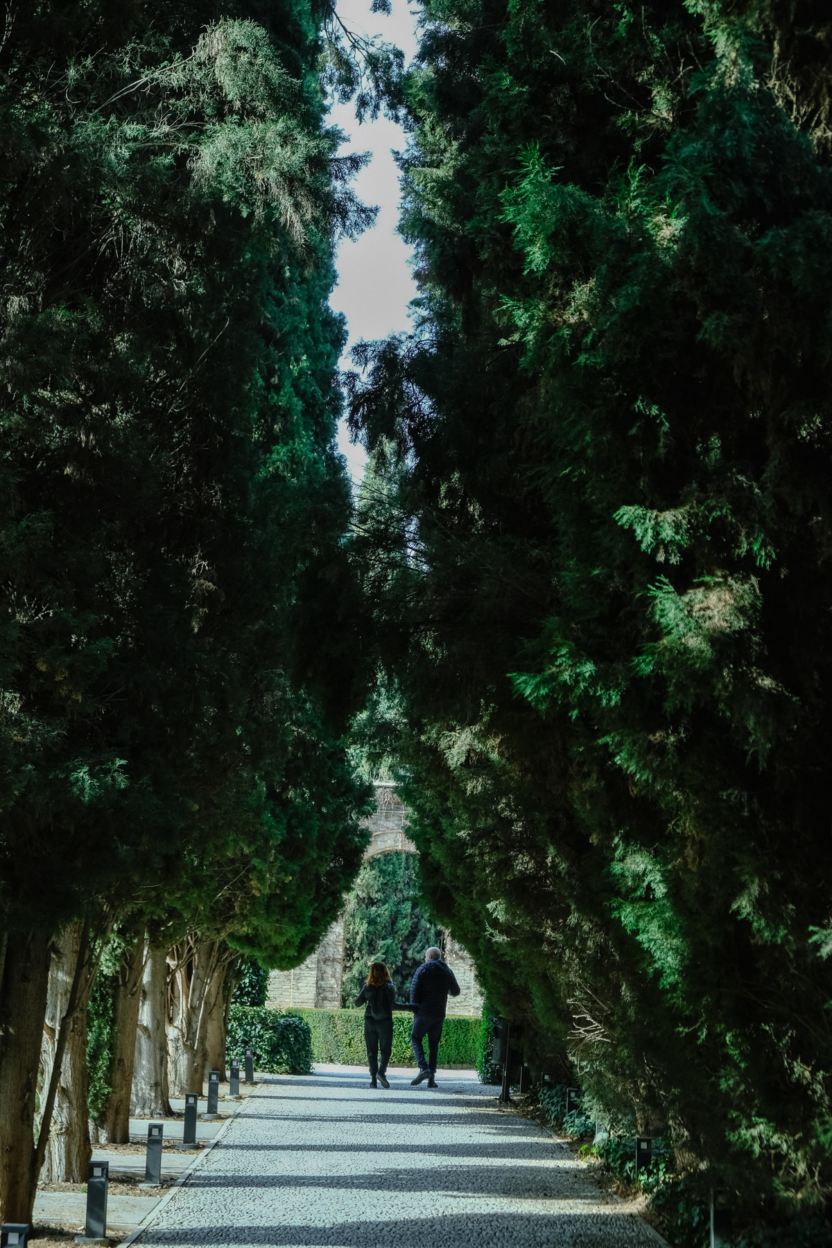 The garden of the Palacio de los Cordova