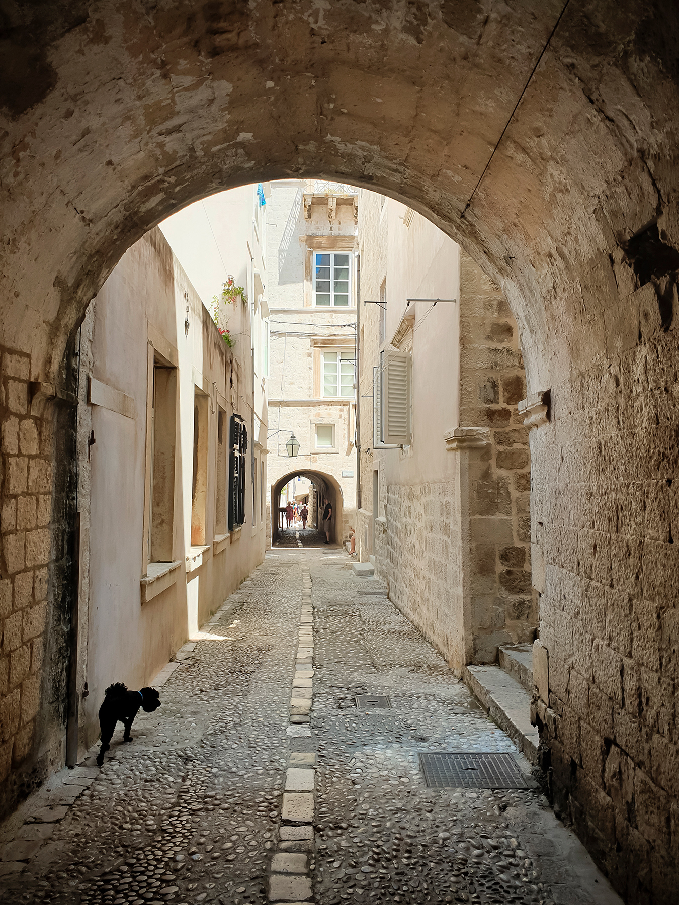 Arched alley and a dog, July 2019.