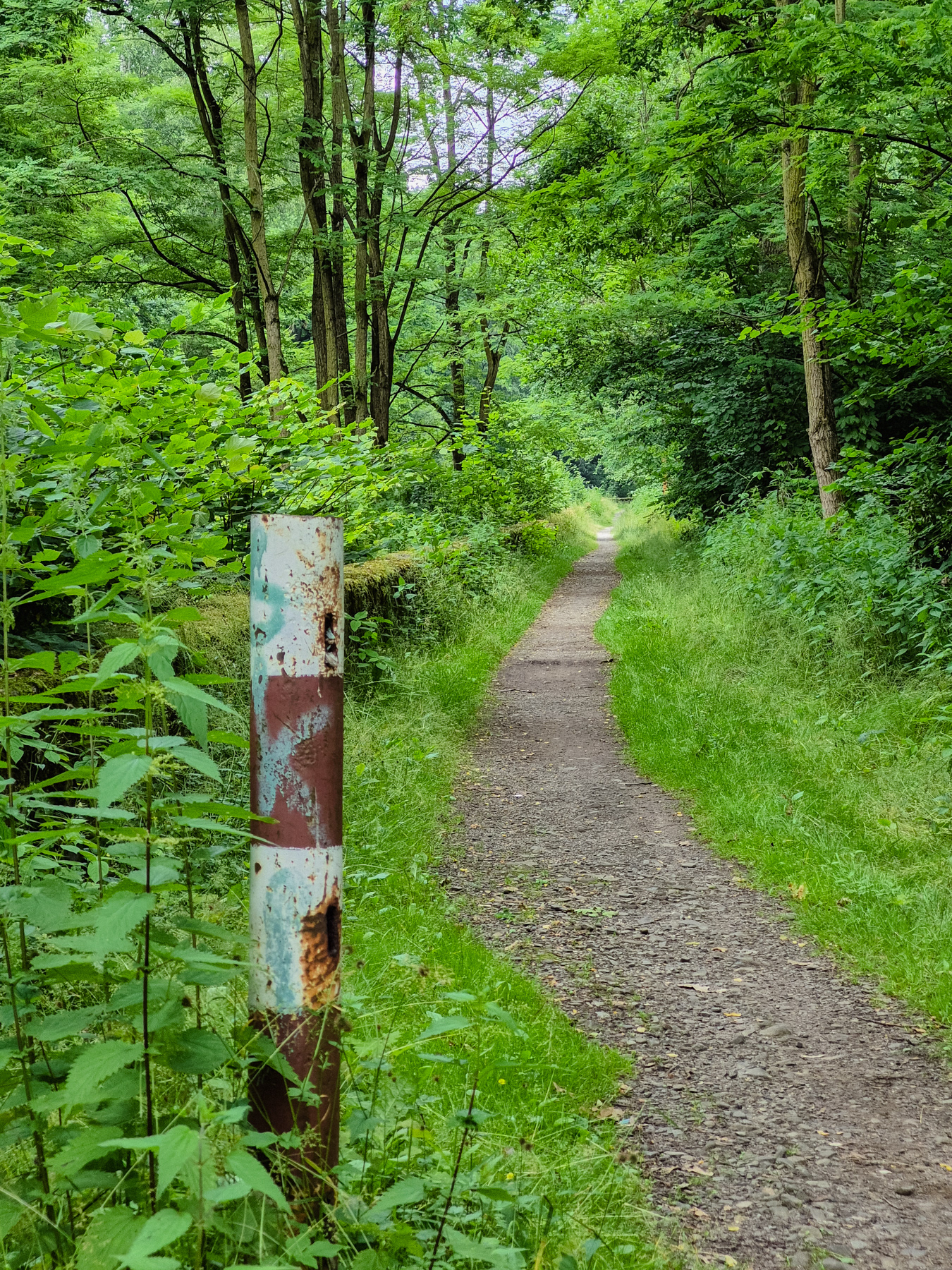 A trail that follows the Pszczynka canal.