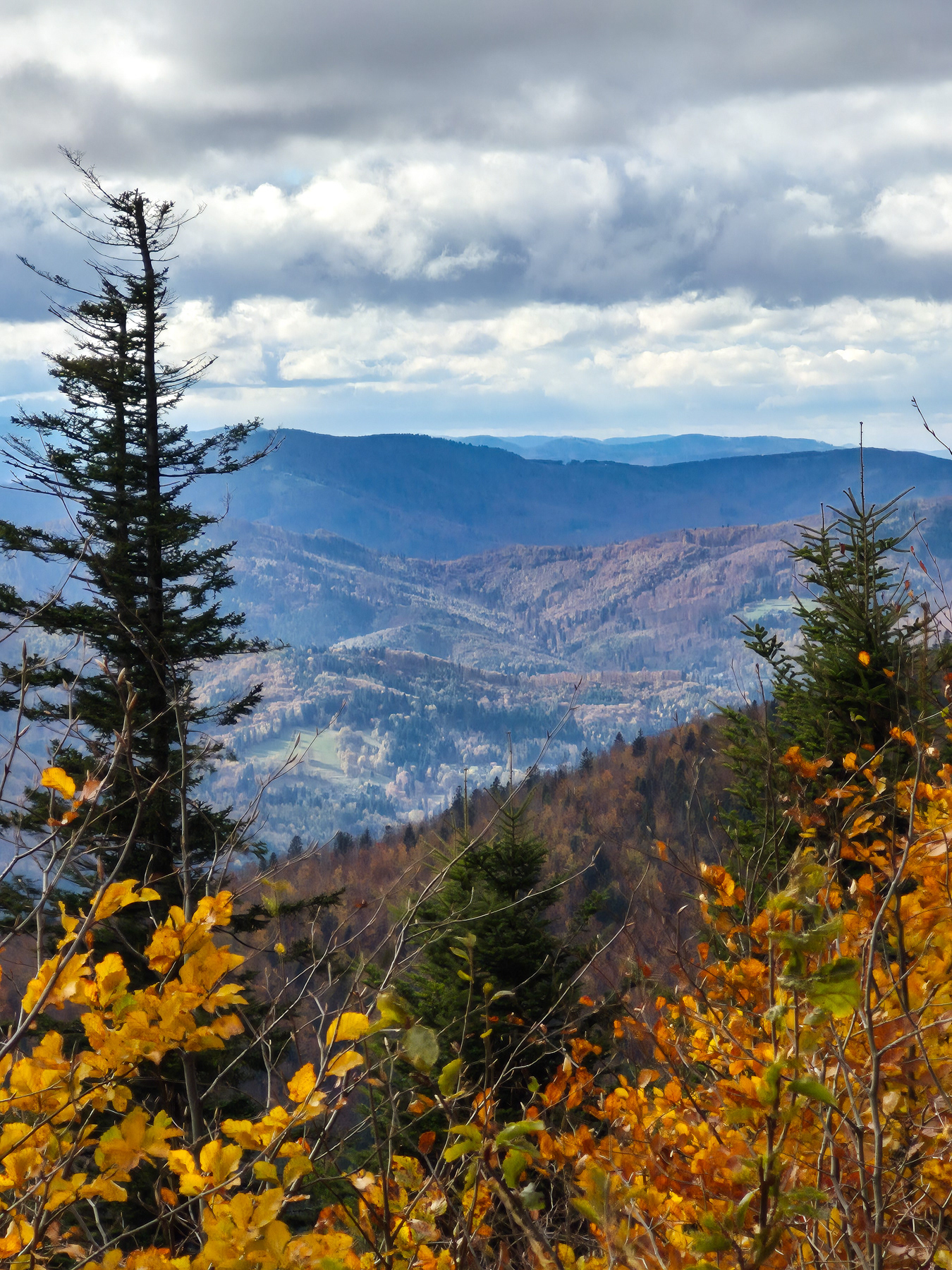 On the southern side of the ridges east of Klimczok, October 2025. View towards and into Czechia.