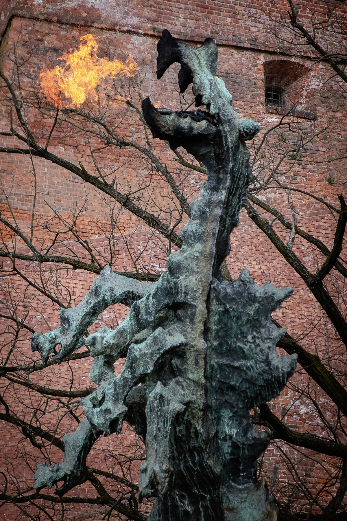 The Wavel Dragon in action.