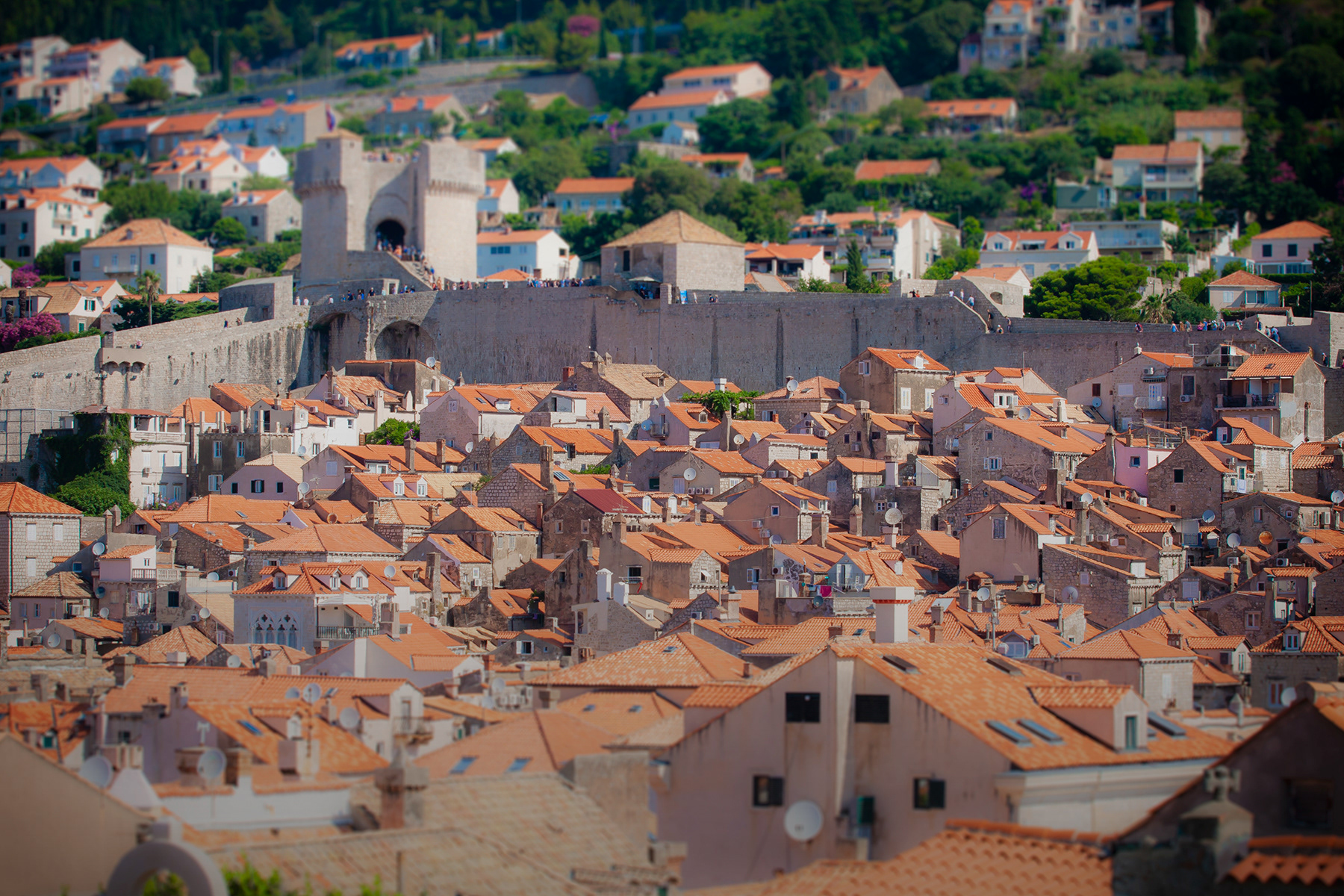 View towards the eastern city walls, July 2019.