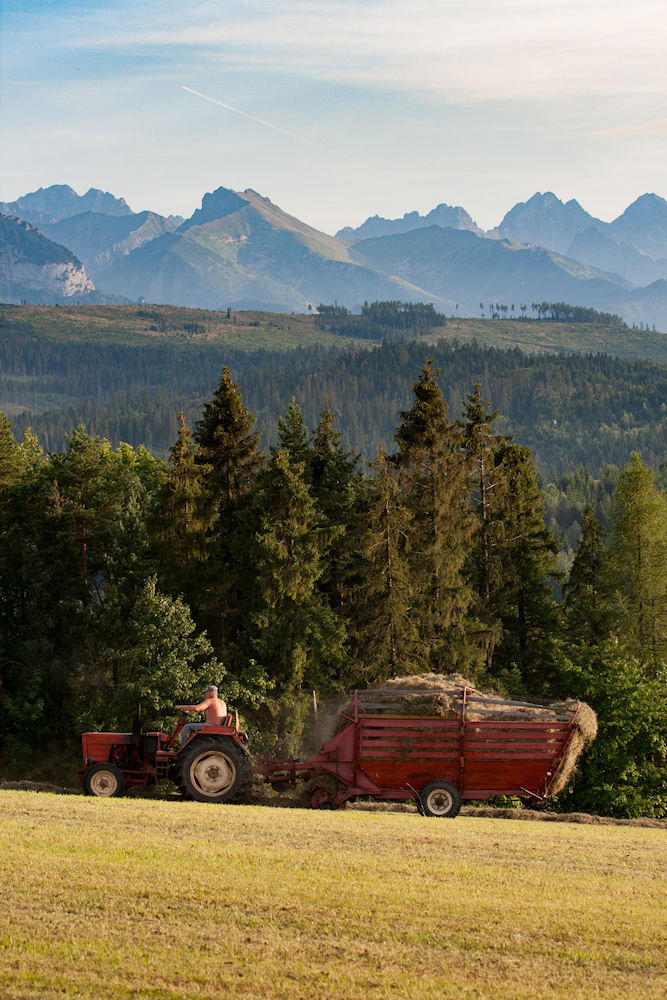 A farmer on the roll in Łapszanka.