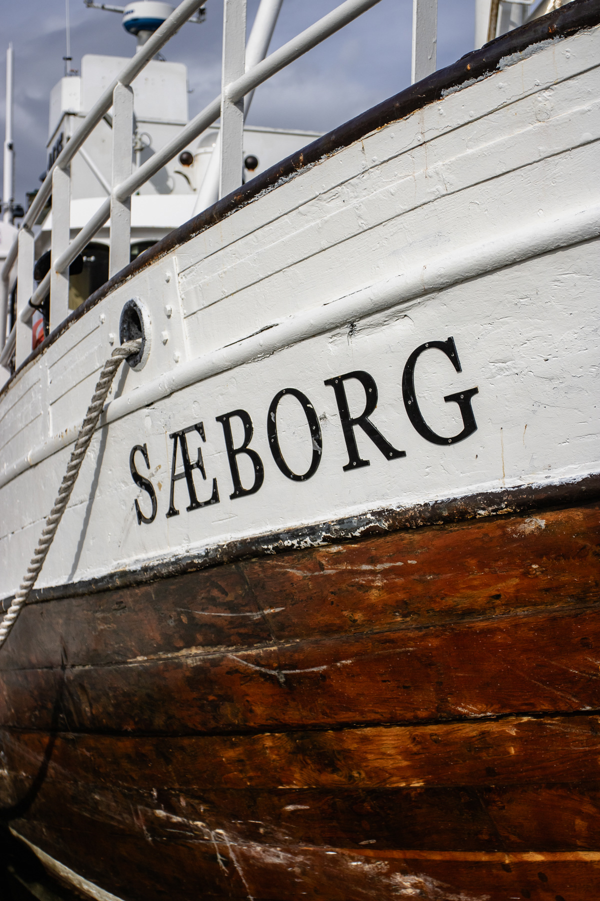 Close up os Saeborg.