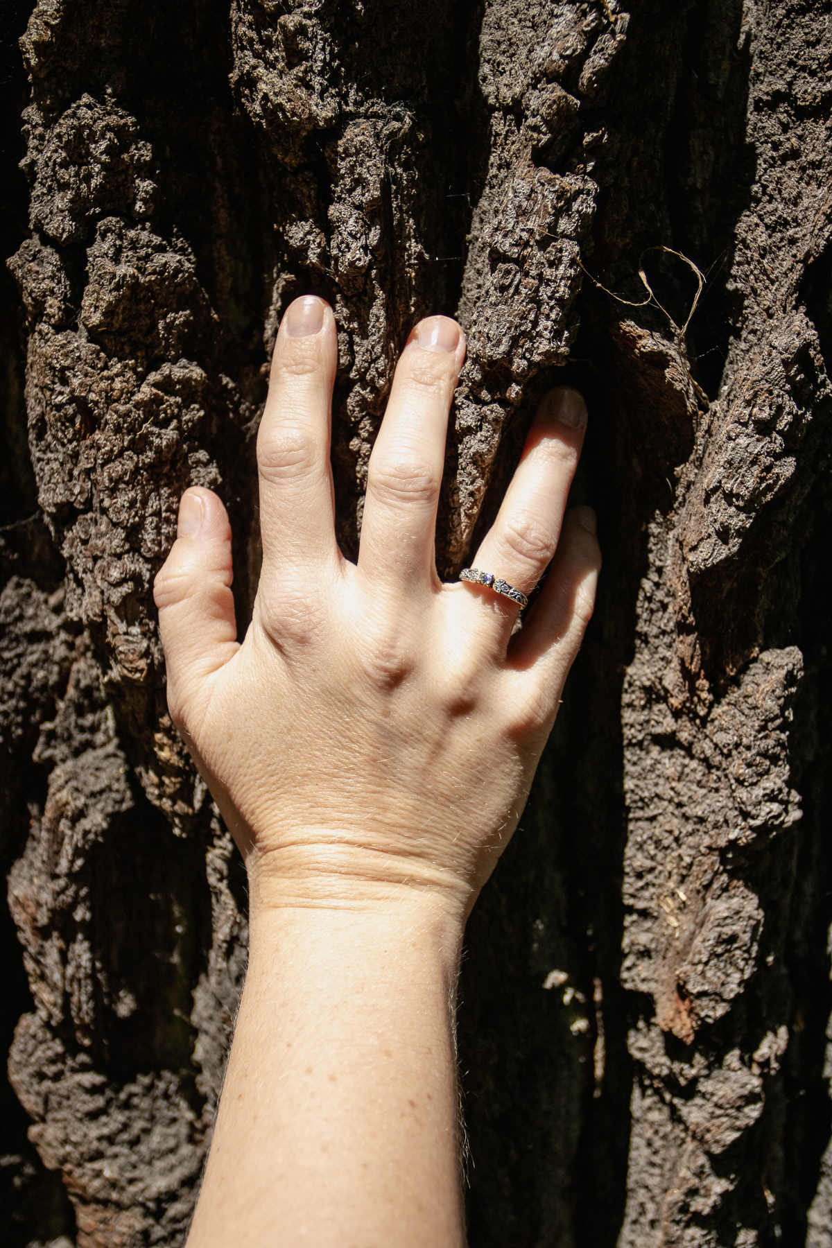 Thick bark.