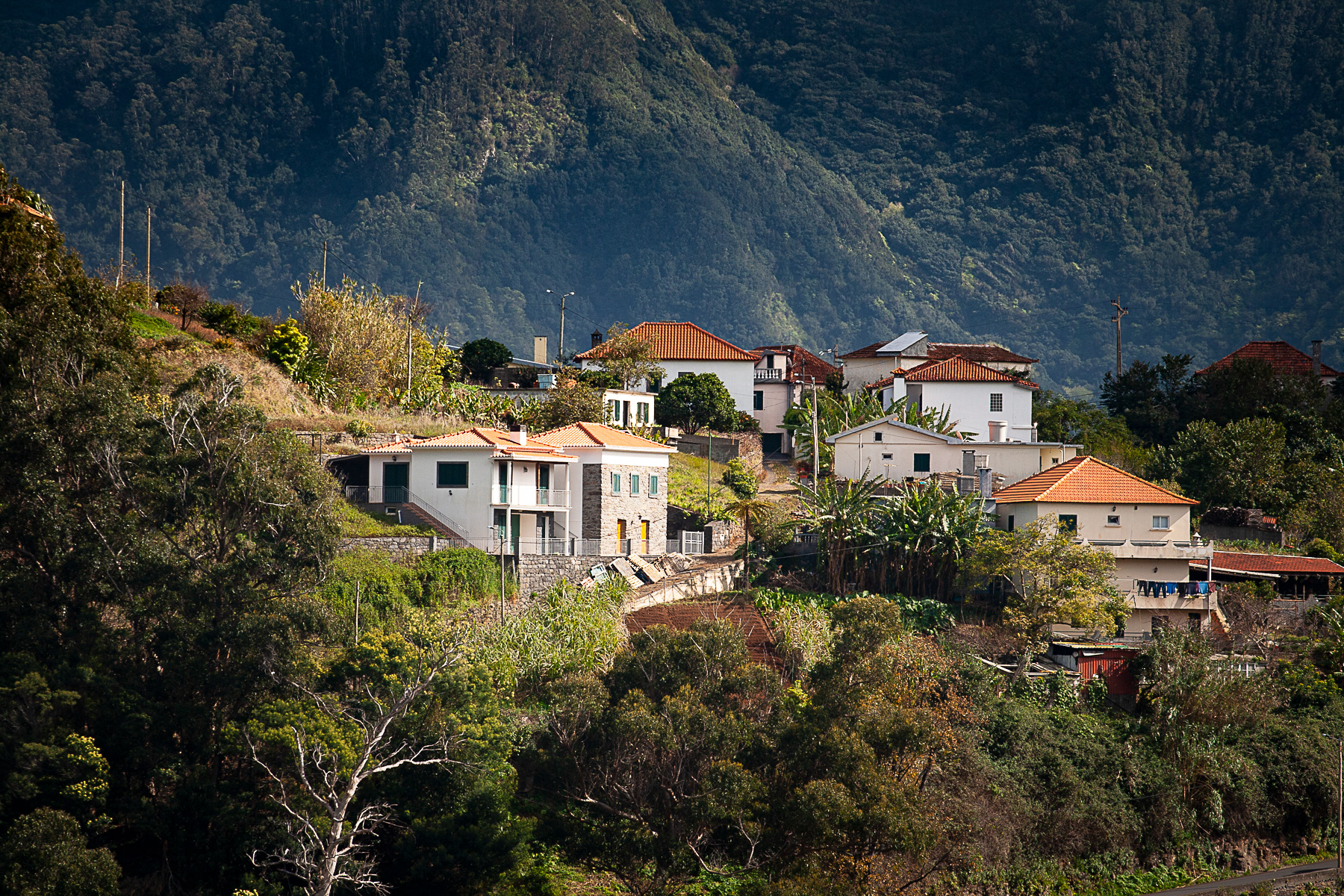 View from the Miradouro do Lombo dos Palheiros.