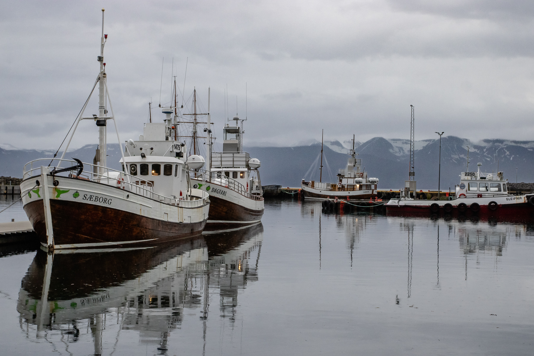 Boats Saeborg, Dagfara and Sleiphir in the harbour of Húsavík, July 2025.