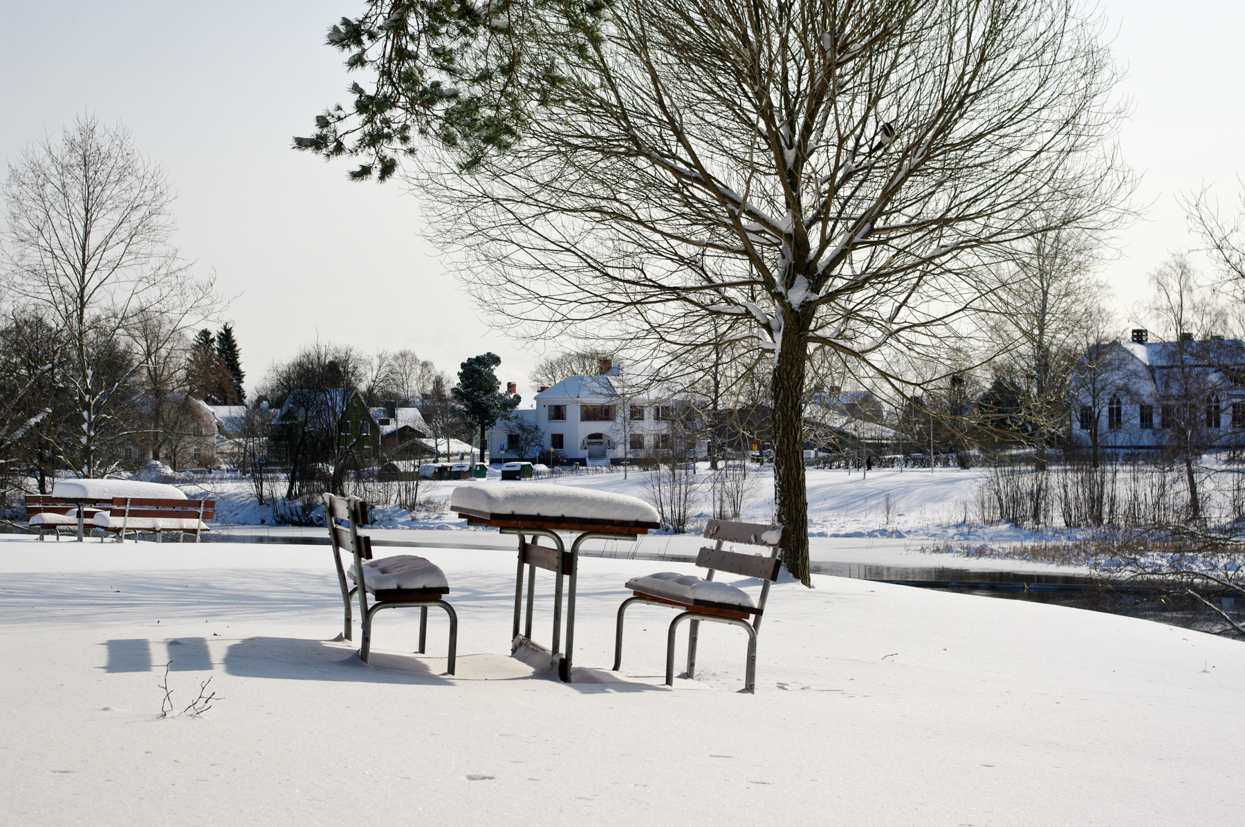 Near Boulognersskogen, March 2008.