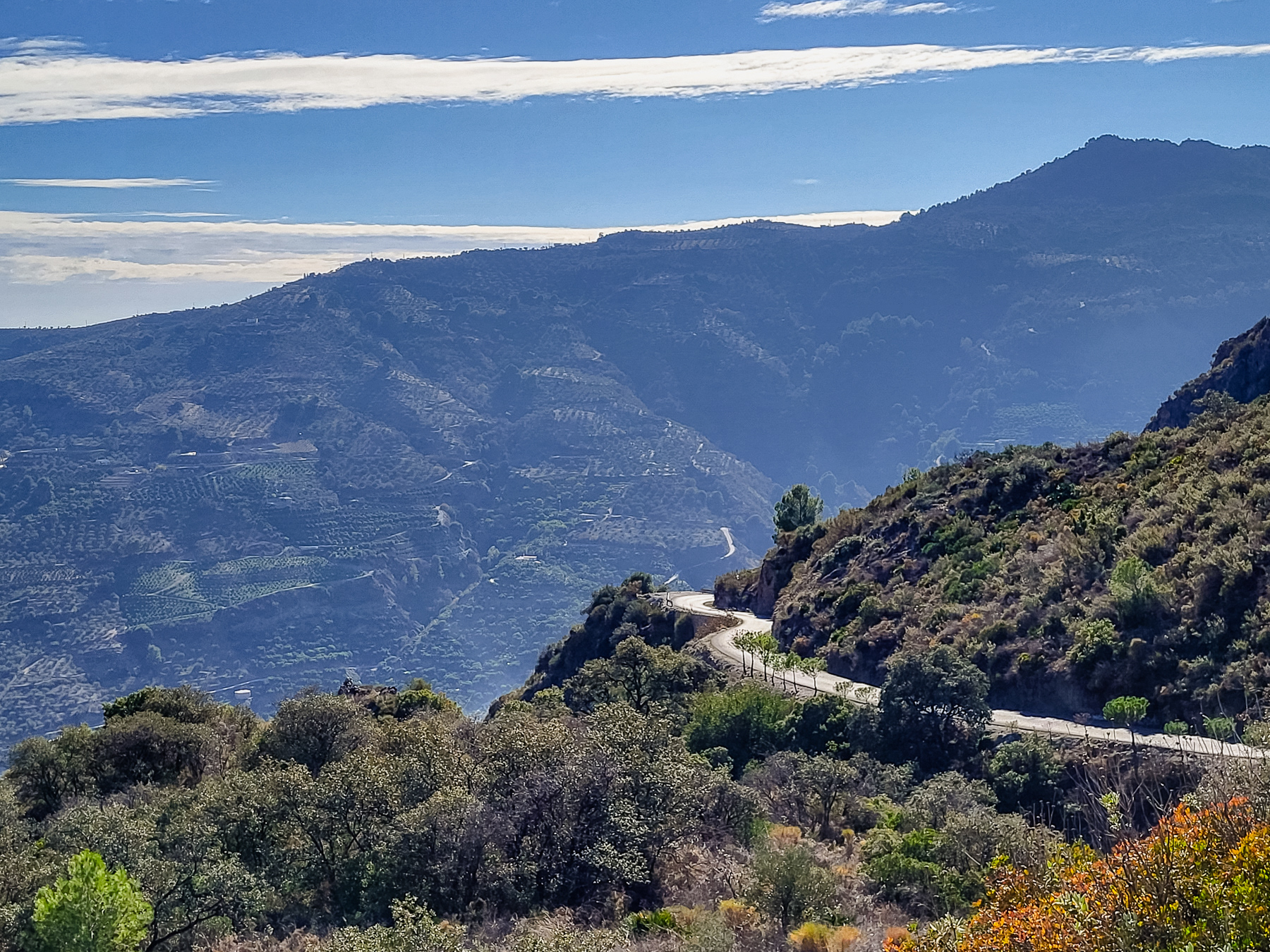 The inner landscape of Andalusia, somewhere between the coast and Granada.