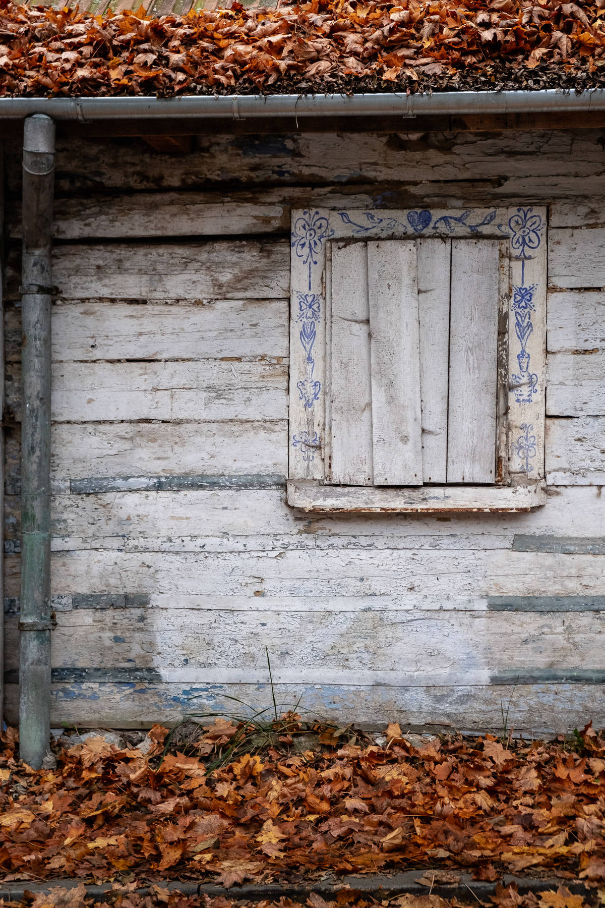 Just down the manor house hill, across the road, this traditional Bronowice wooden house is in pretty bad shape. But do note the painted details on the window frame.