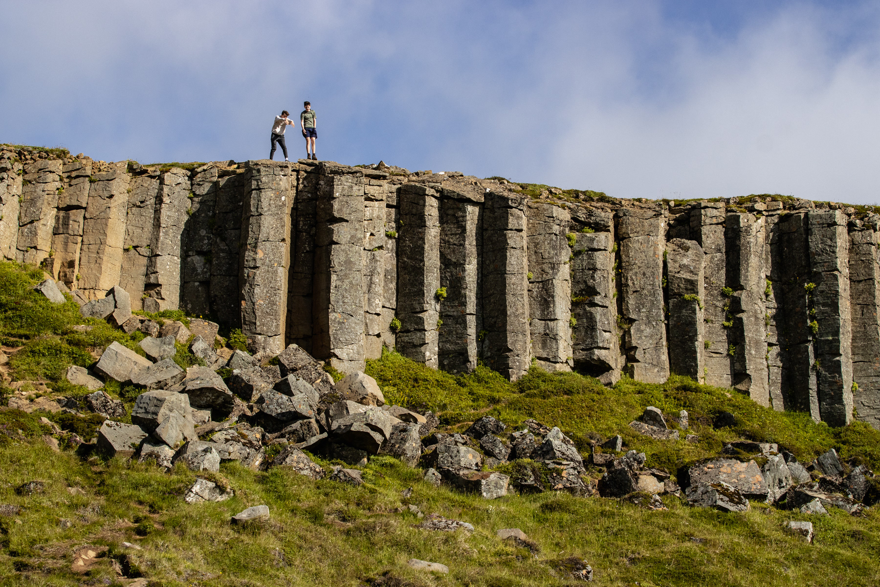 Gerðuberg Cliffs. Snæfellsnes peninsula, Iceland, July 2025.