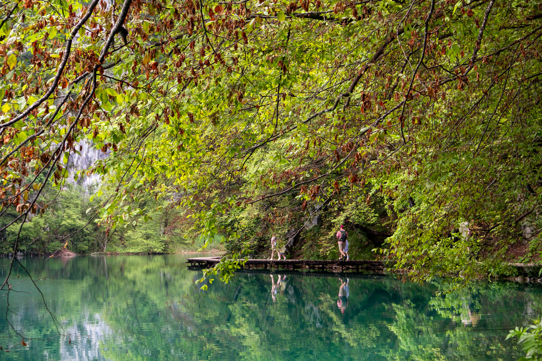 Plitvice Lakes National Park, July 2023