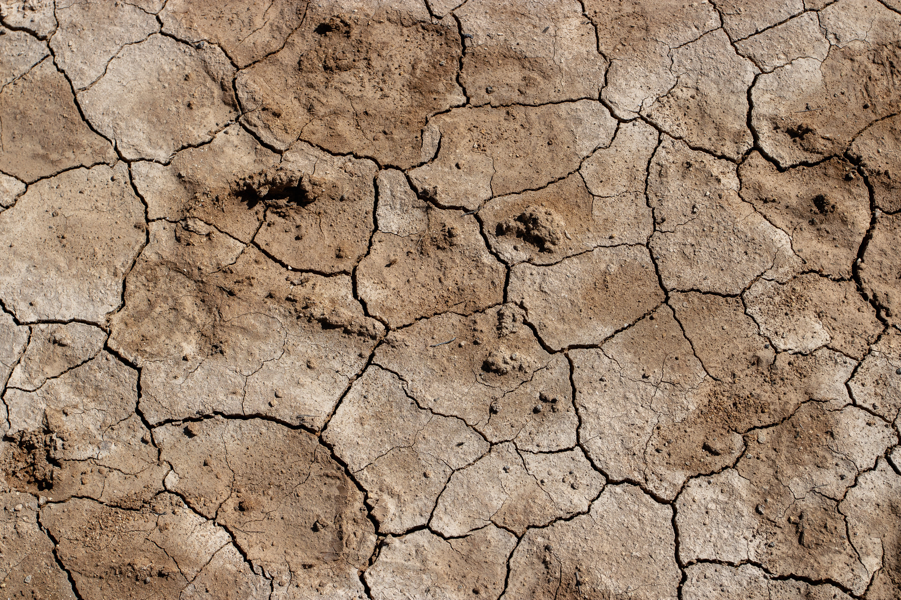 Dry soil in the Leirhnjúkur crater.