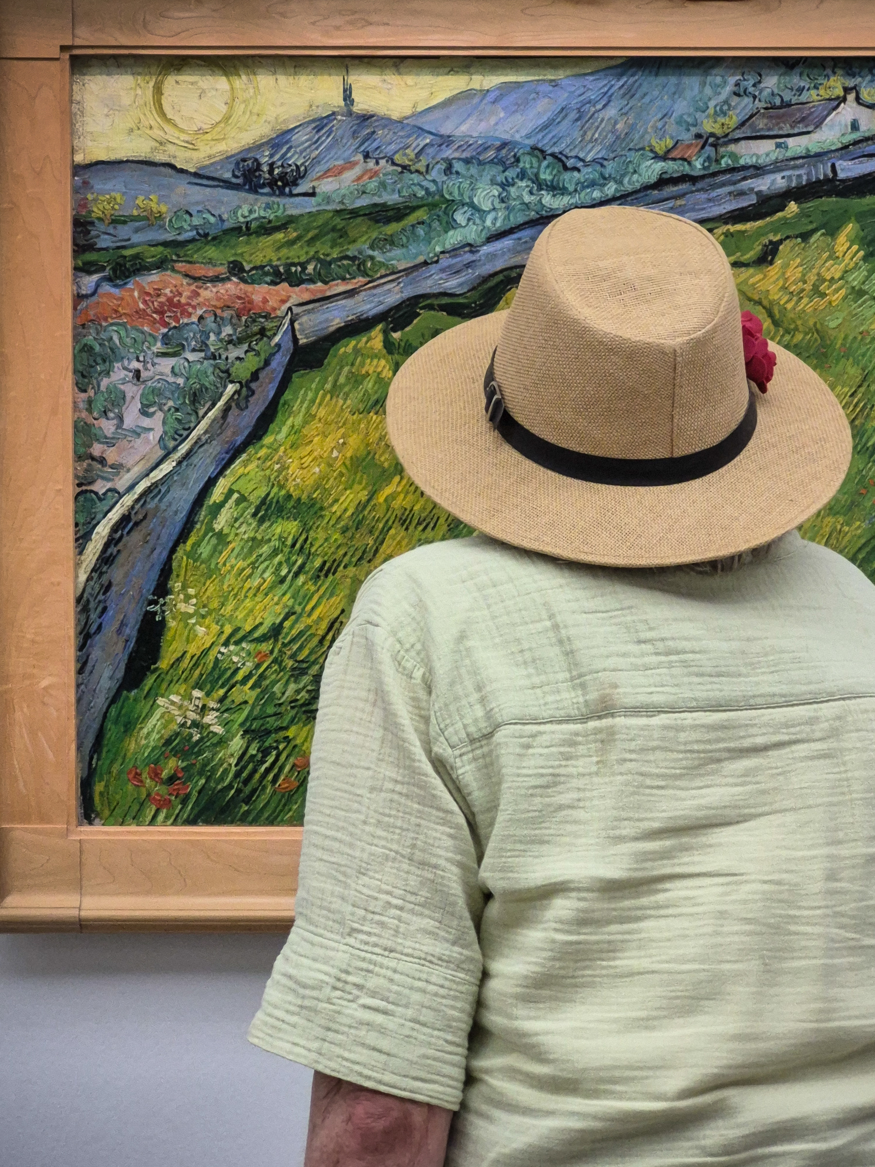 A visitor of the Kröller-Müller Museum admiring a painting by Vincent van Gogh, July 2026.