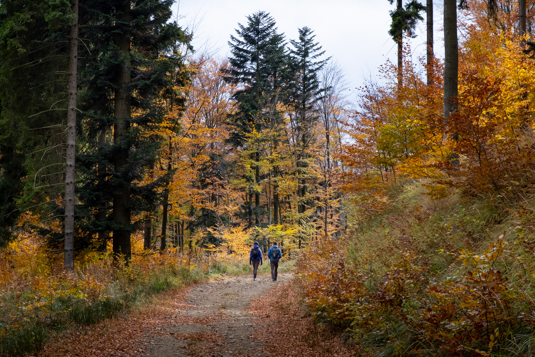 Hiking up to Klimczok, October 2021.