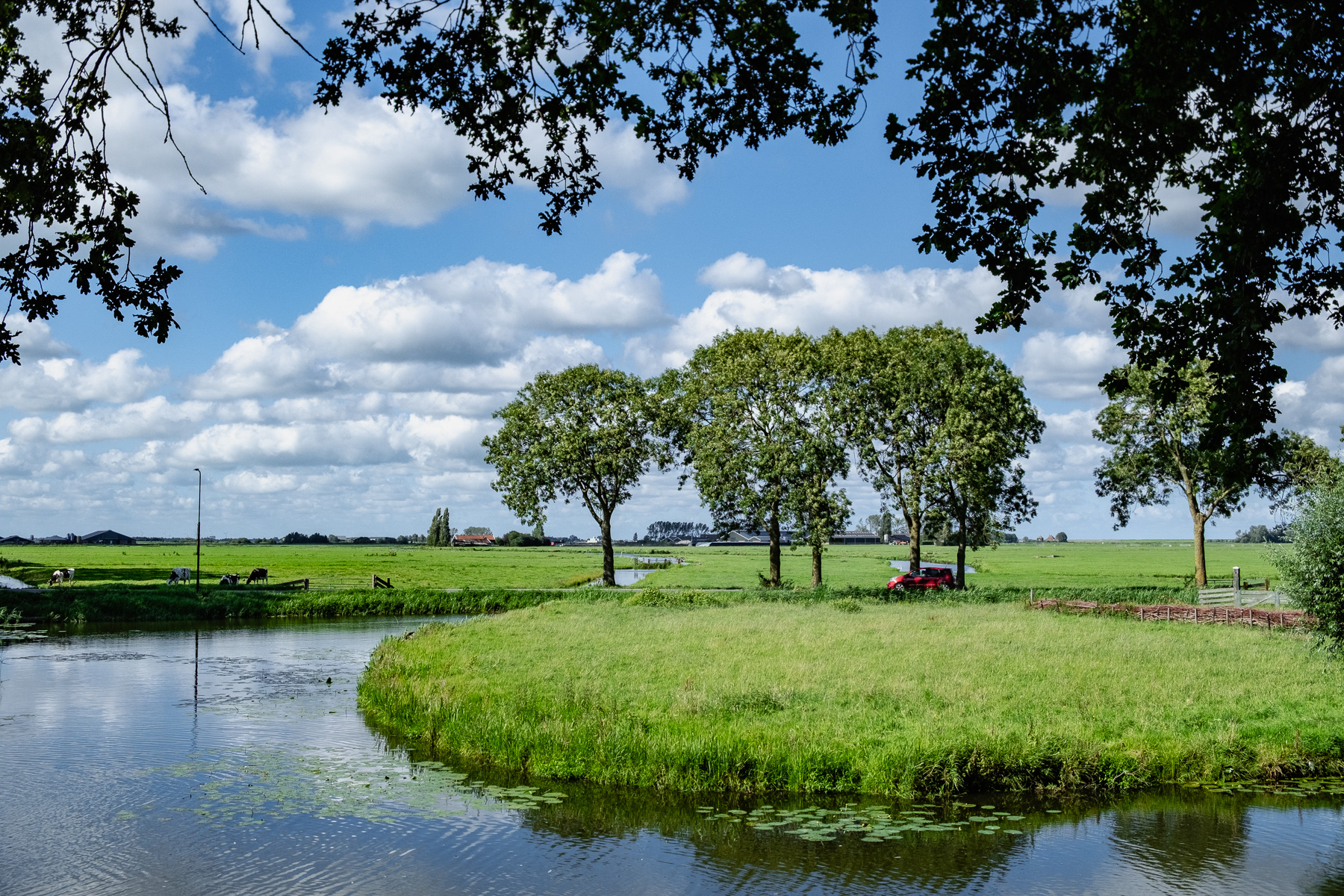 The outskirts of Edam, August 2023.