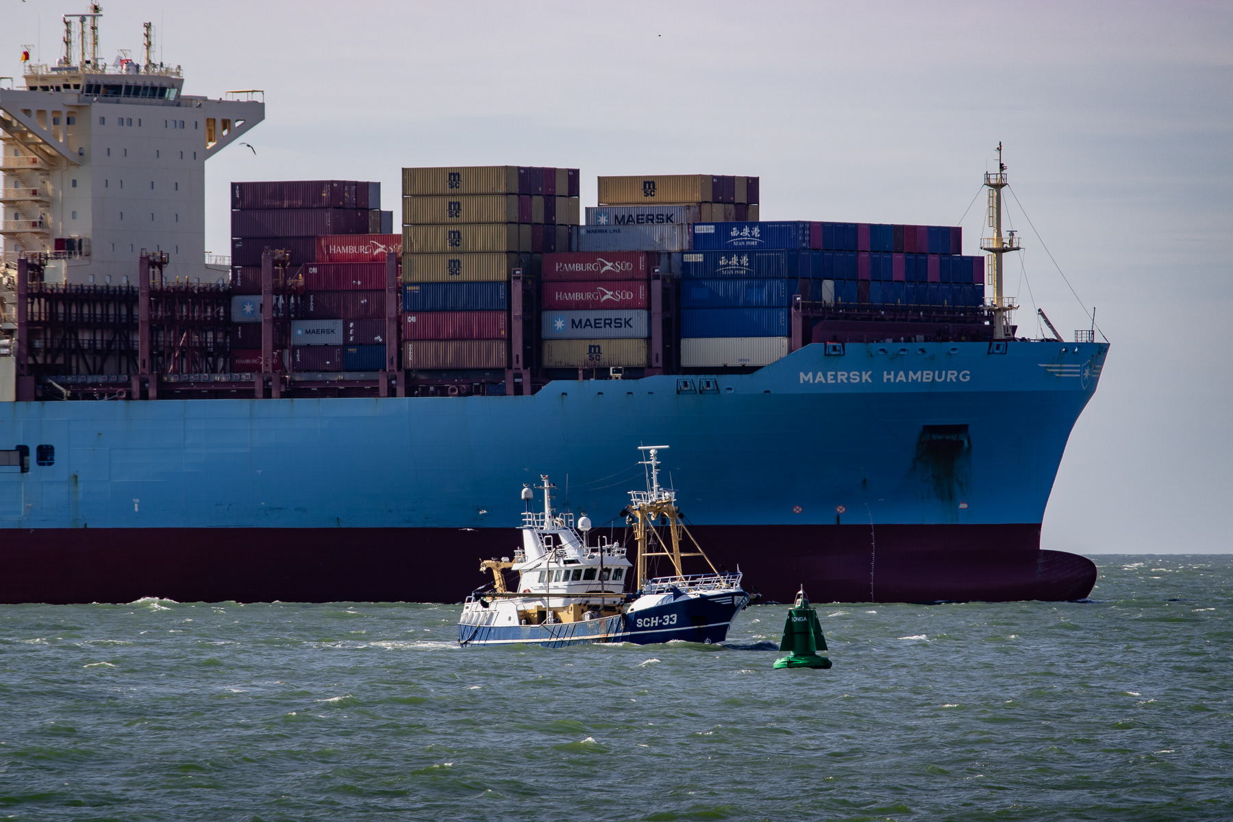 Scheveningen fishing boat SCH-33 dwarfs against the background of the passing container vessel Maersk Hamburg