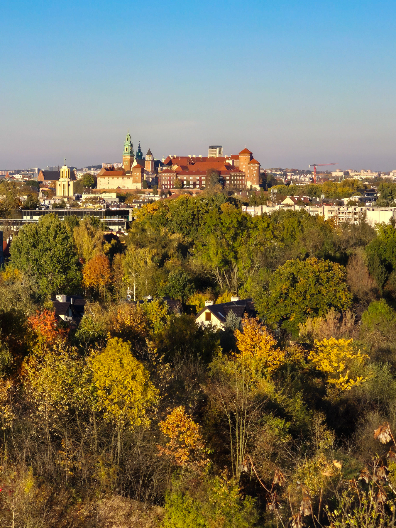 View at Wavel Castle and the Old Town from Zakrzówek's higher vantage points, October 2025.
