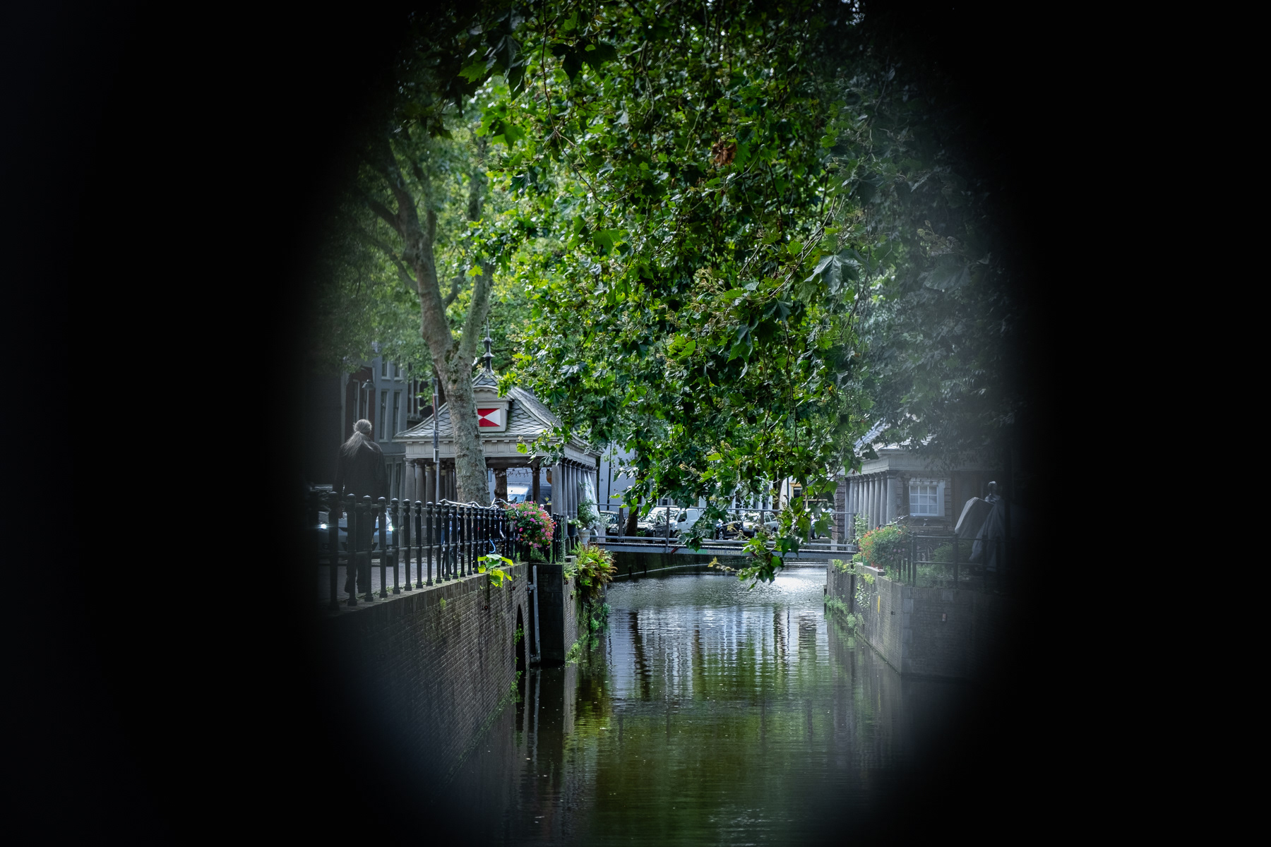 The Fish Bank, Gouda, August 2023.