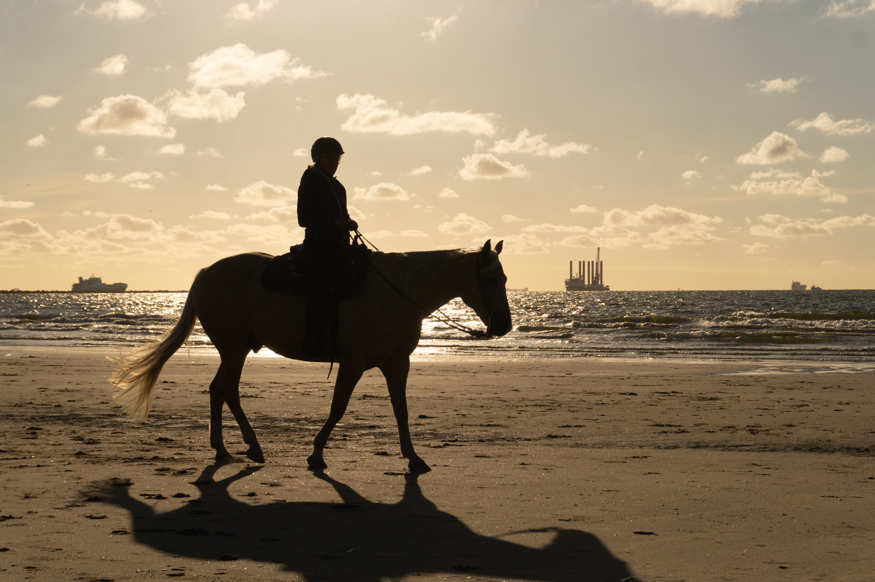 A horse and horserider on the beach of Hoek van Holland at sunset, July 2020.