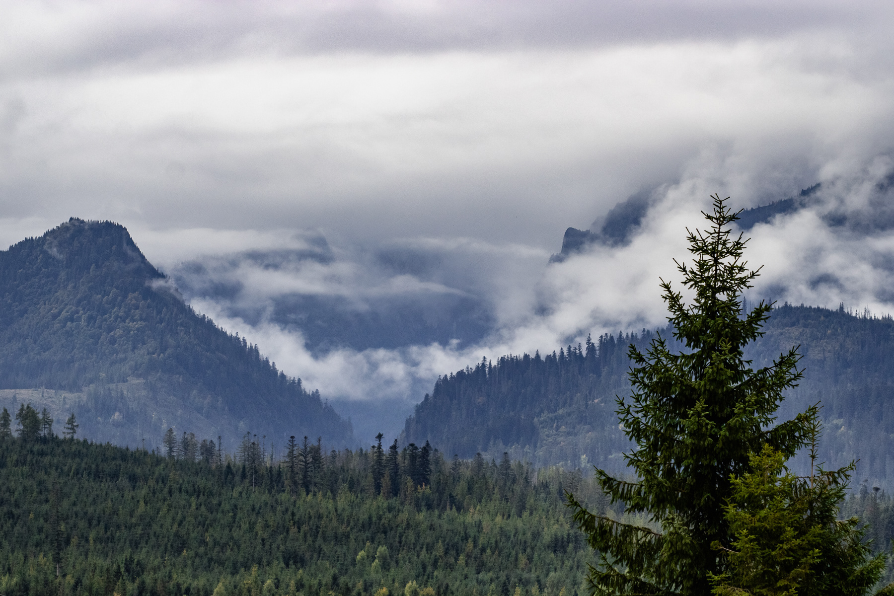 View at the hills leading up to the cloud-obscured Tatra Mountains, taken from the hike up from Jurgów to Łapszanka, September 2025.