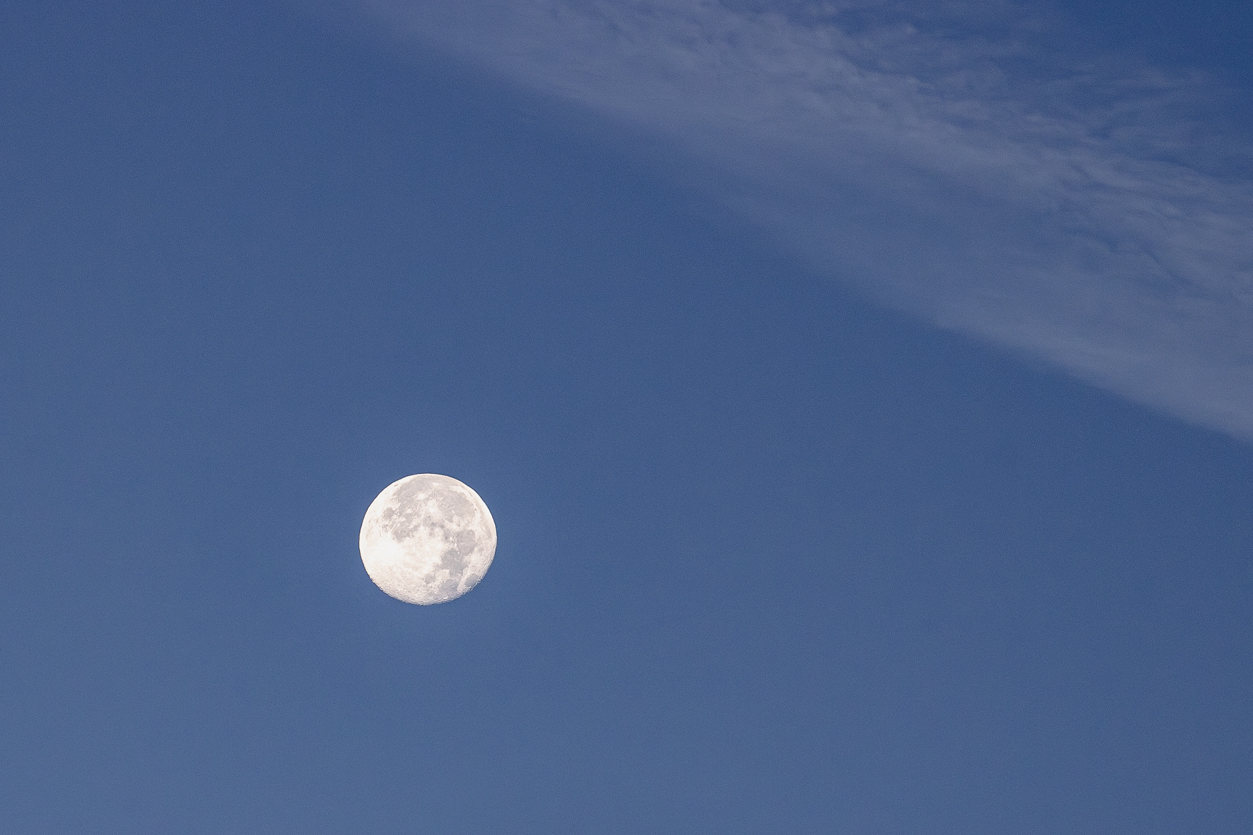 The moon almost perfectly round, reluctant to leave the scene.