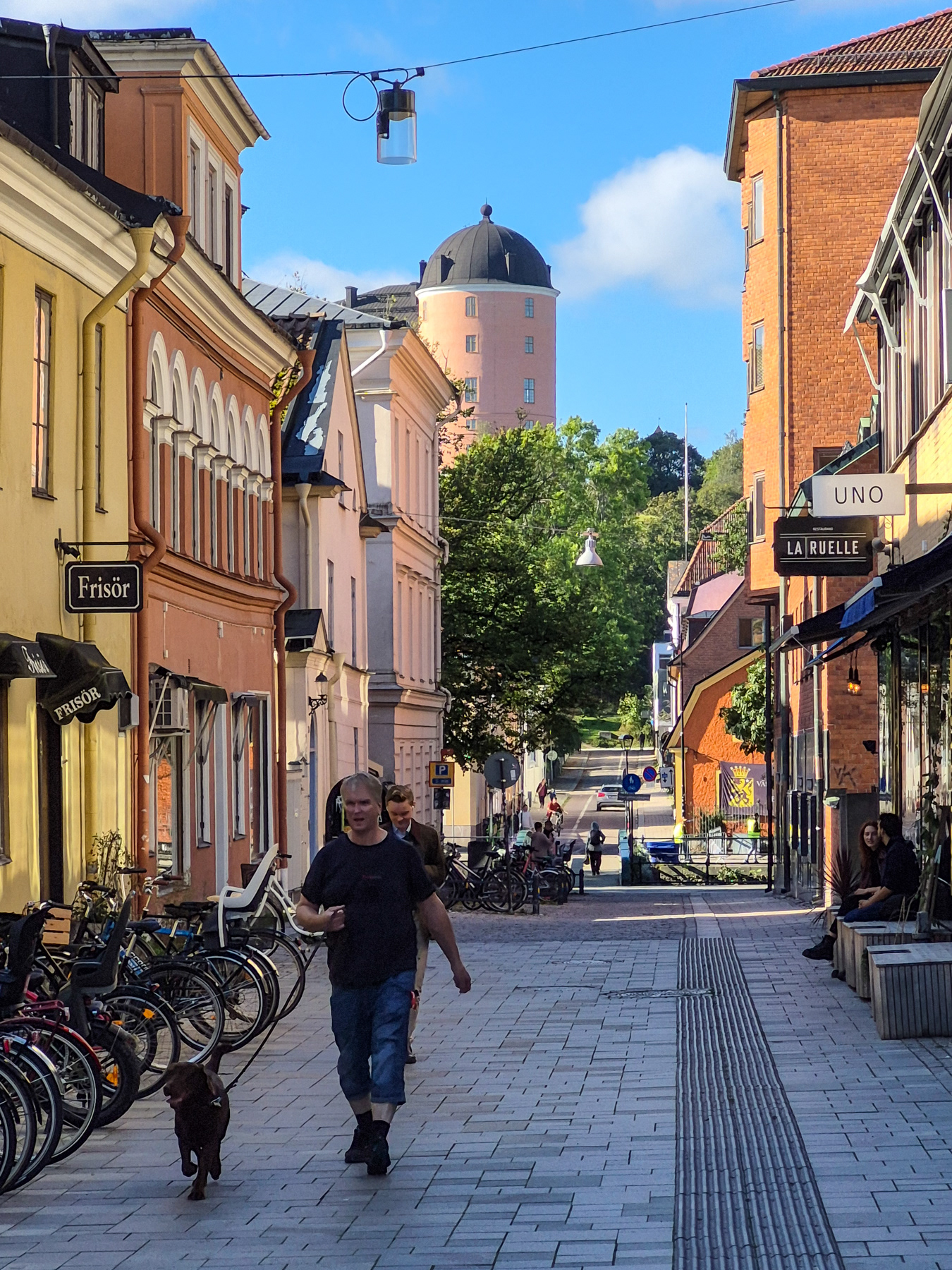 View at Uppsala Slott, September 2025.