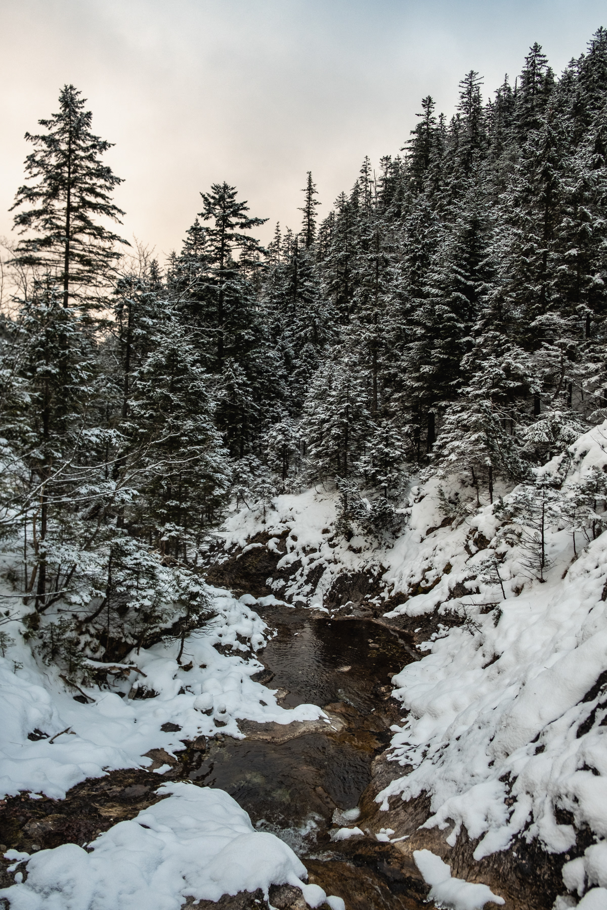 The Białego Valley has some cute turns and twists