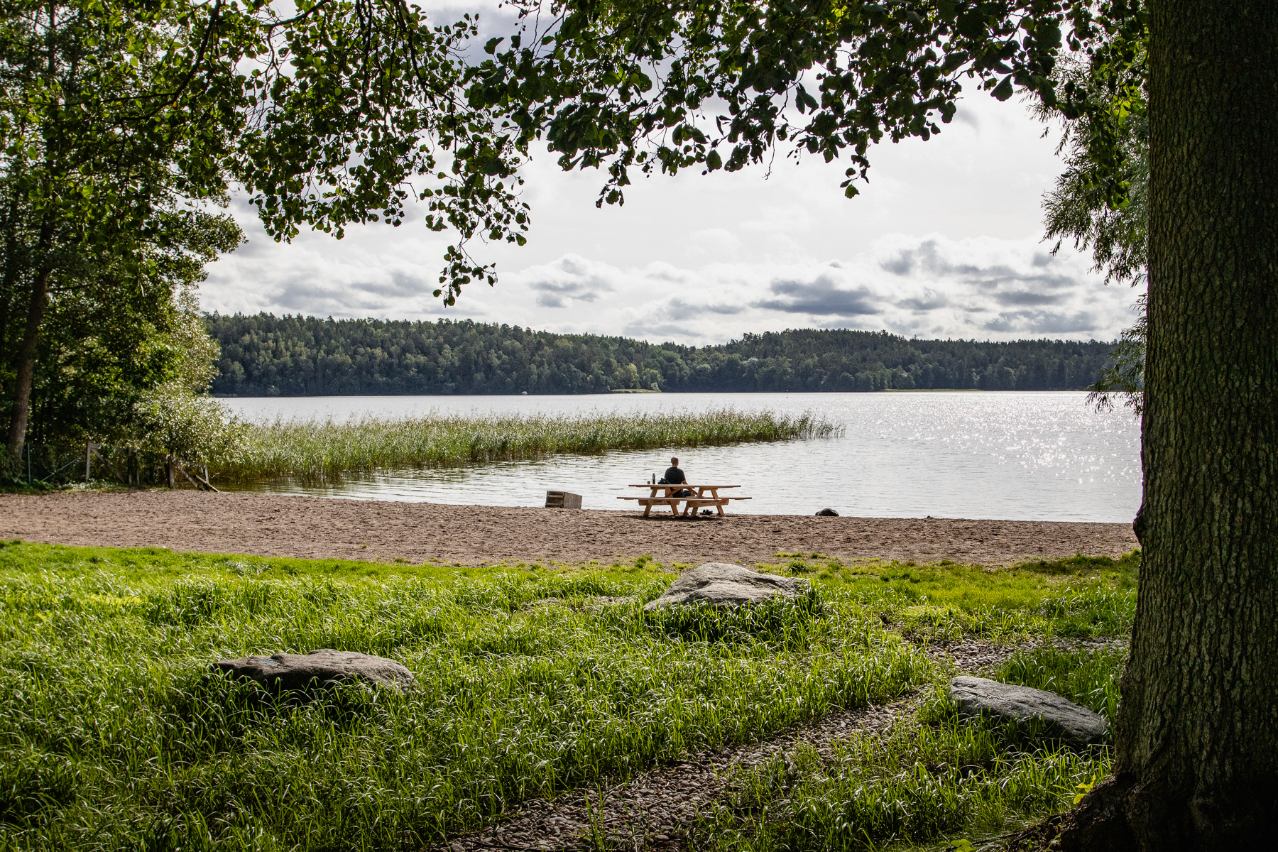 At lake Ekoln, September 2025.