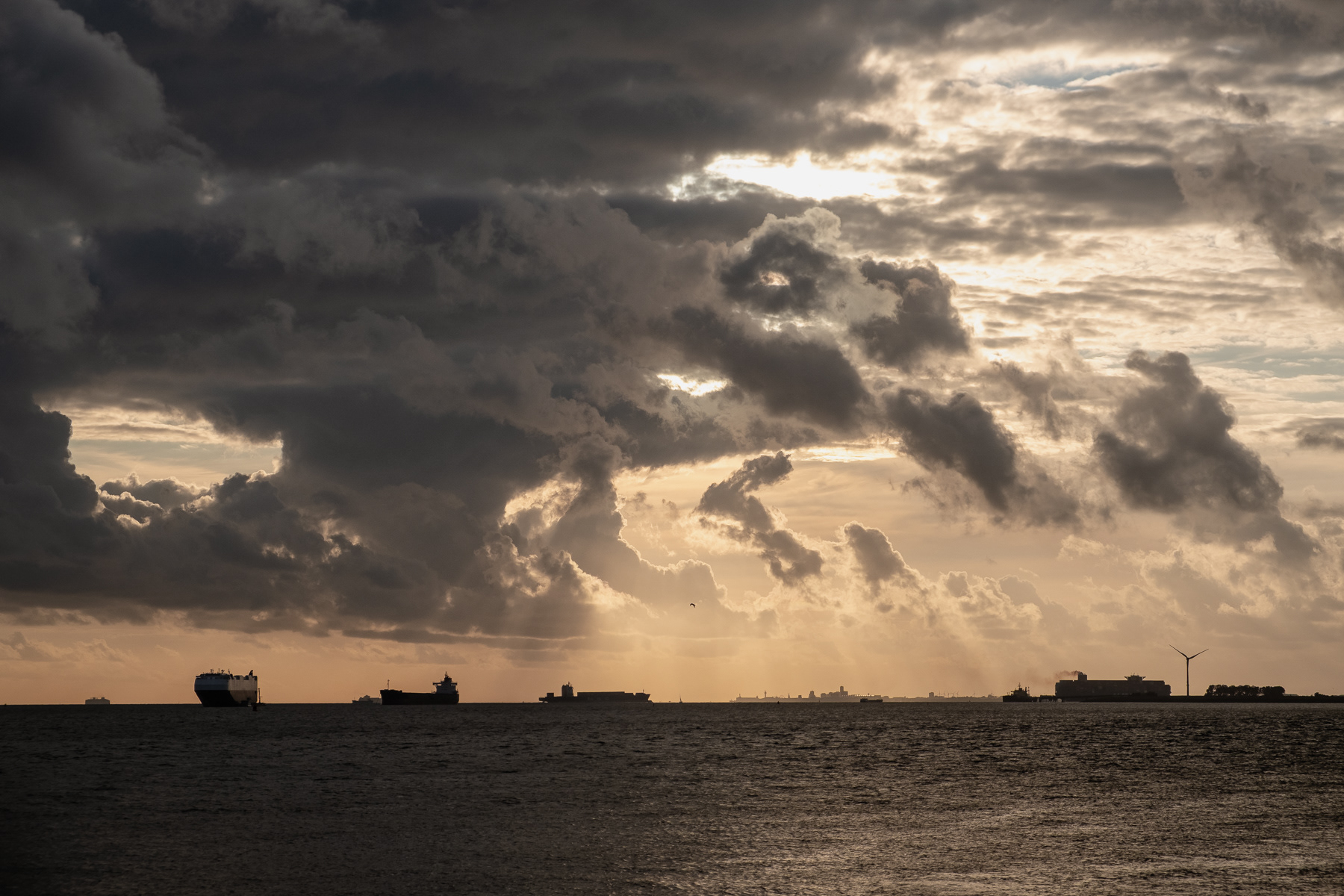 Westerschelde close to sunset, Zeeland, the Netherlands, August 2023.