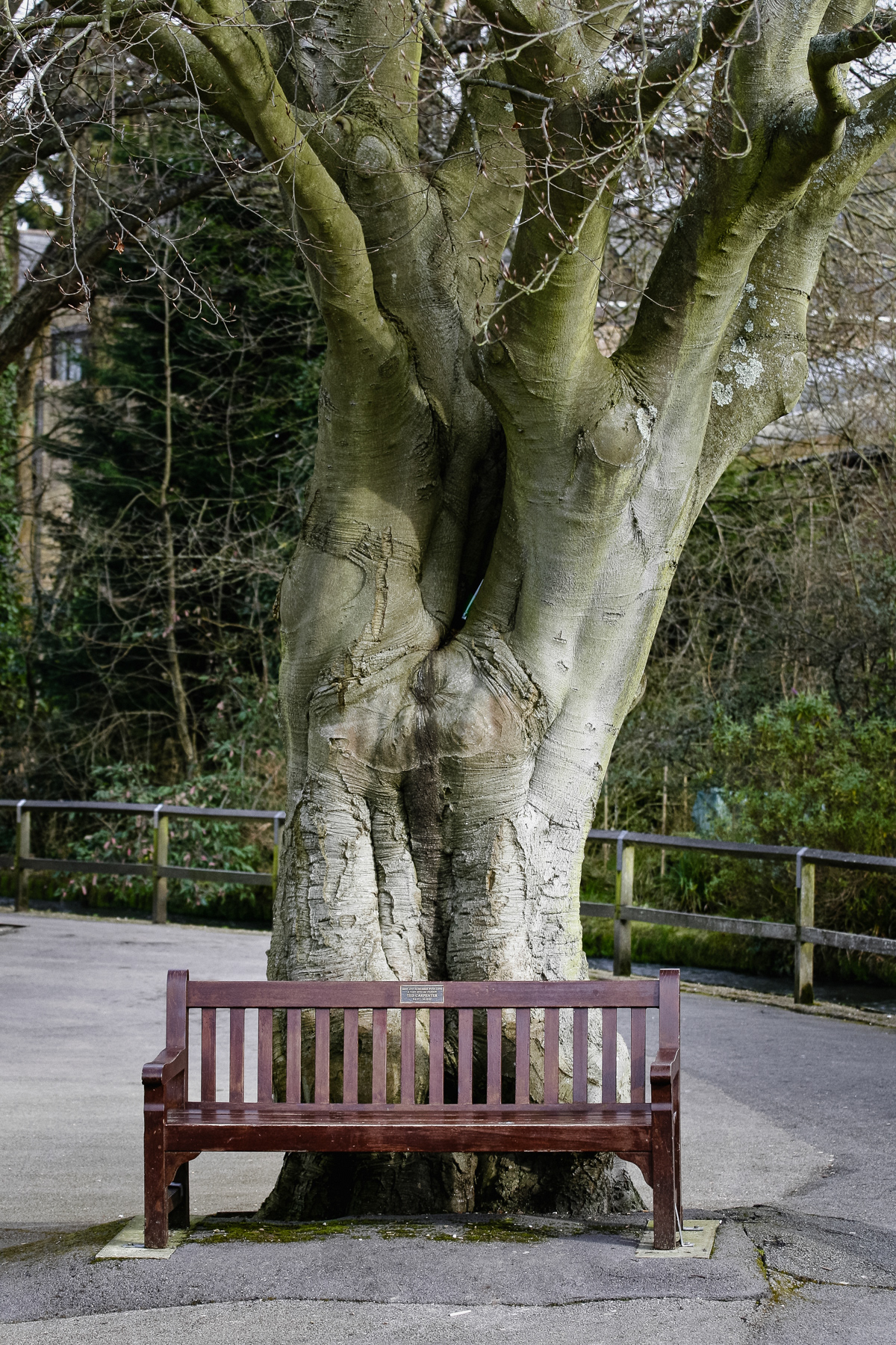 A bench in loving memory of the "very special person Ted Carpenter", The Weirs.