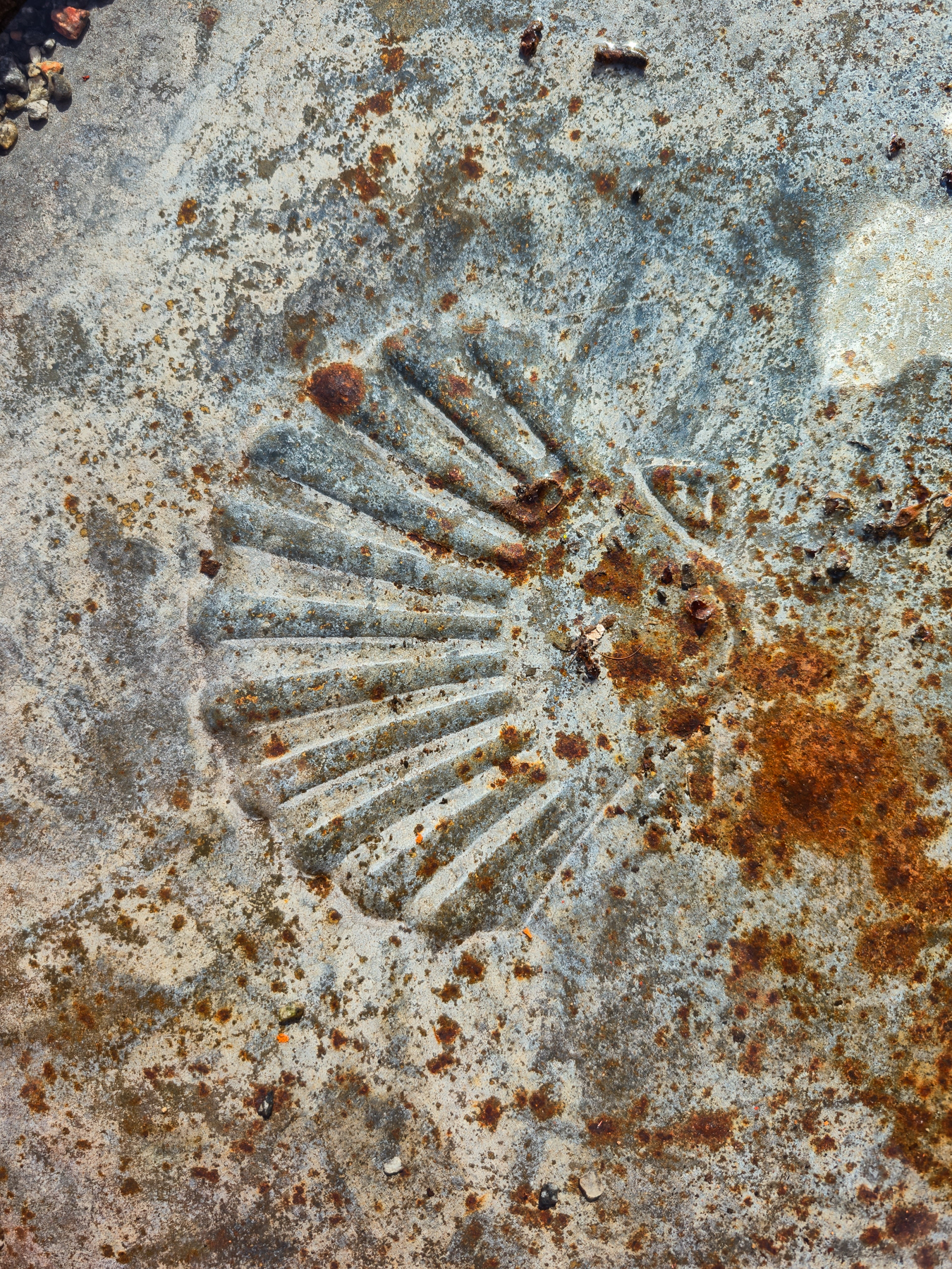 The logo of Shell on a partly rusty oil drum.