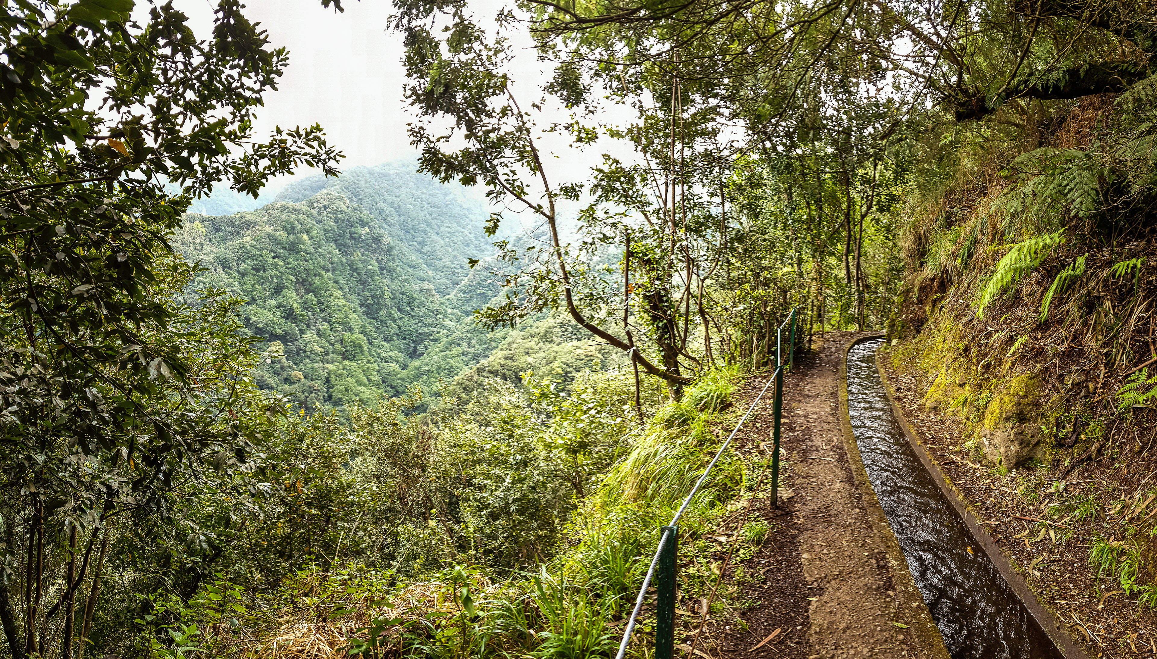 Madeira, just north of the Parque Natural do Ribeiro Frio