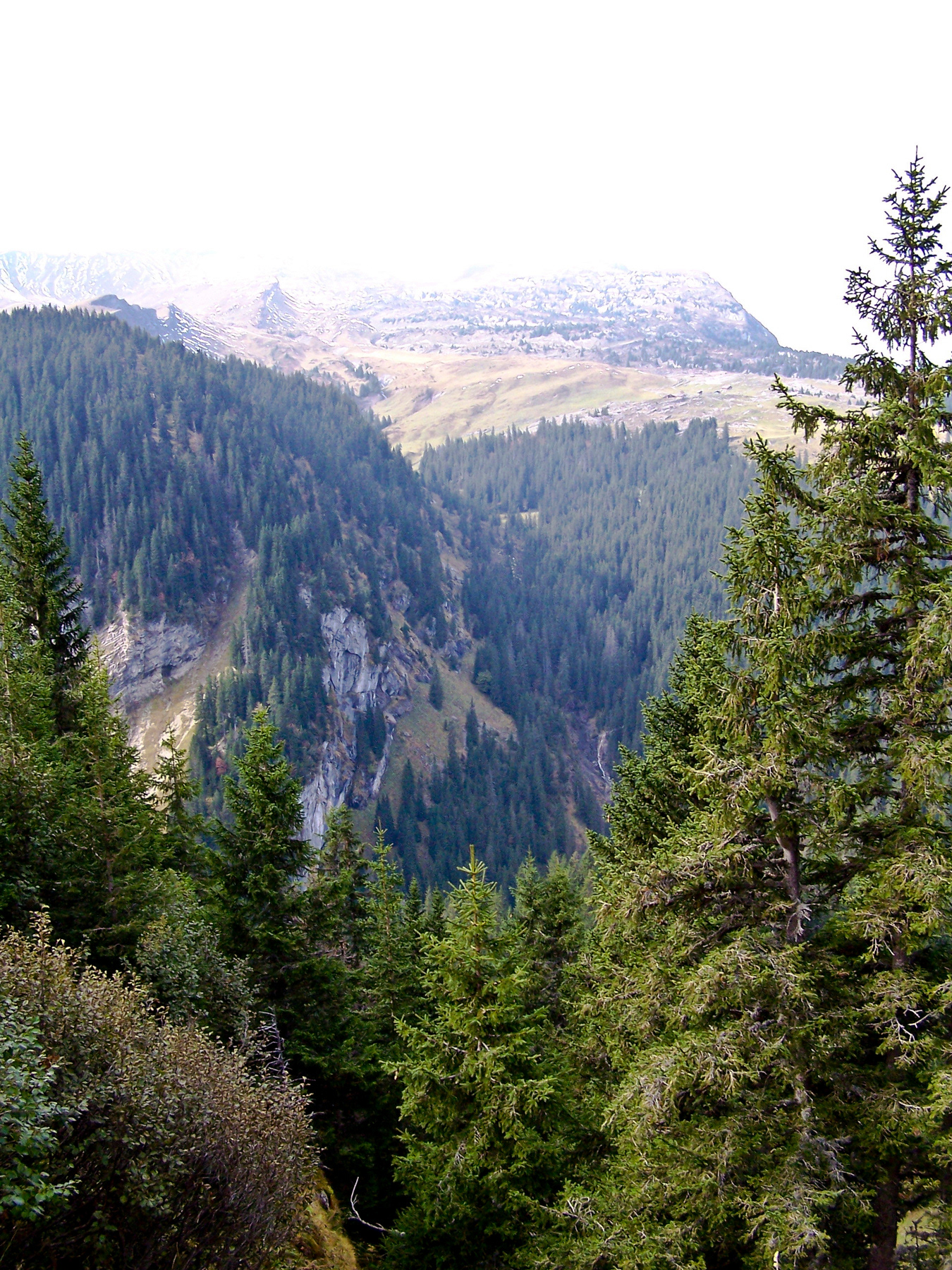 View of the Bernese Alps.