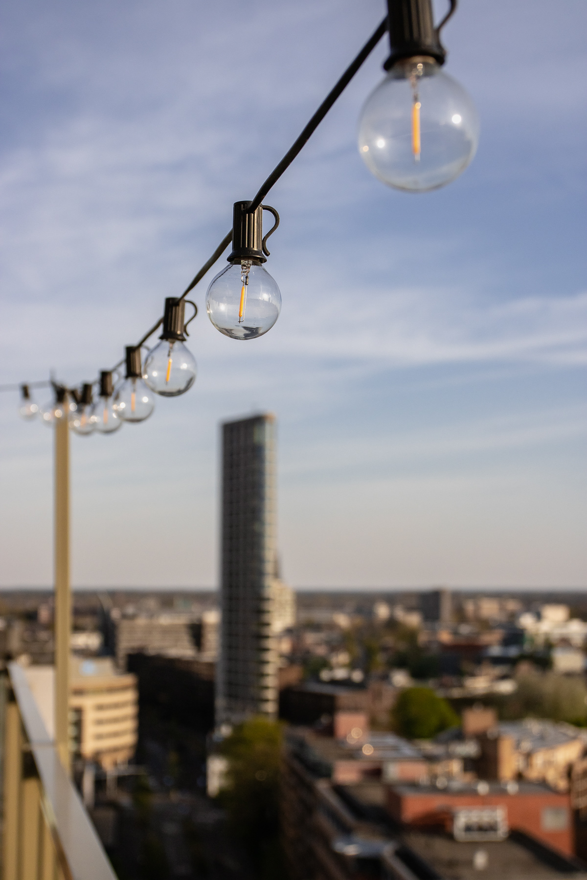 Light bulbs in the city that grew big on them.