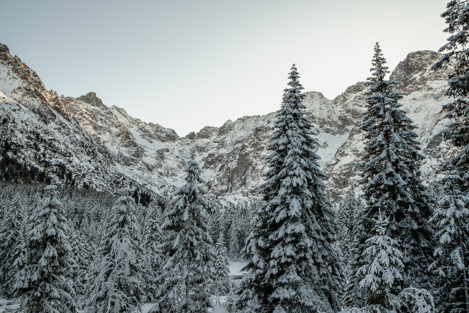Towering Tatra Mountains at the Slovakian side, seen from the route near Morskie Oko on the Polish side, January 2026.