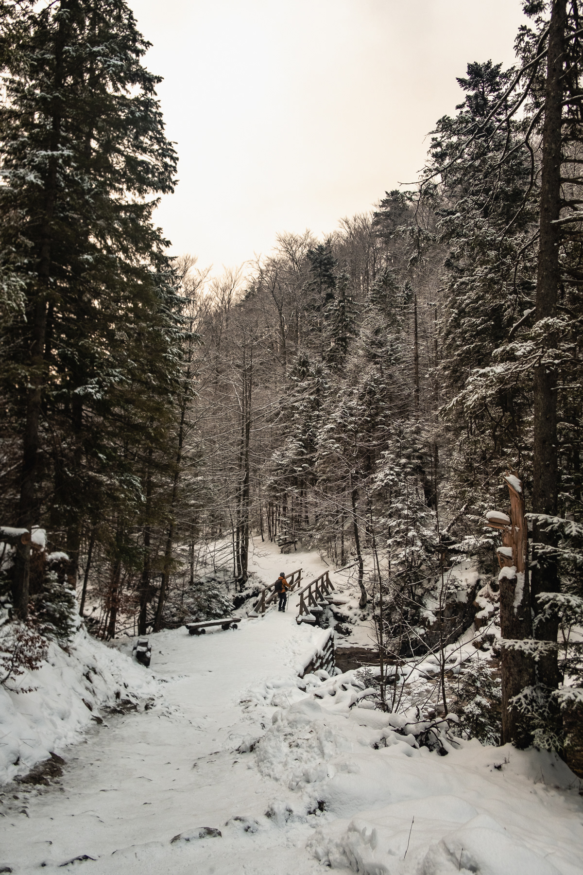 Small bridges makes the lower part of the trails an easy hike.