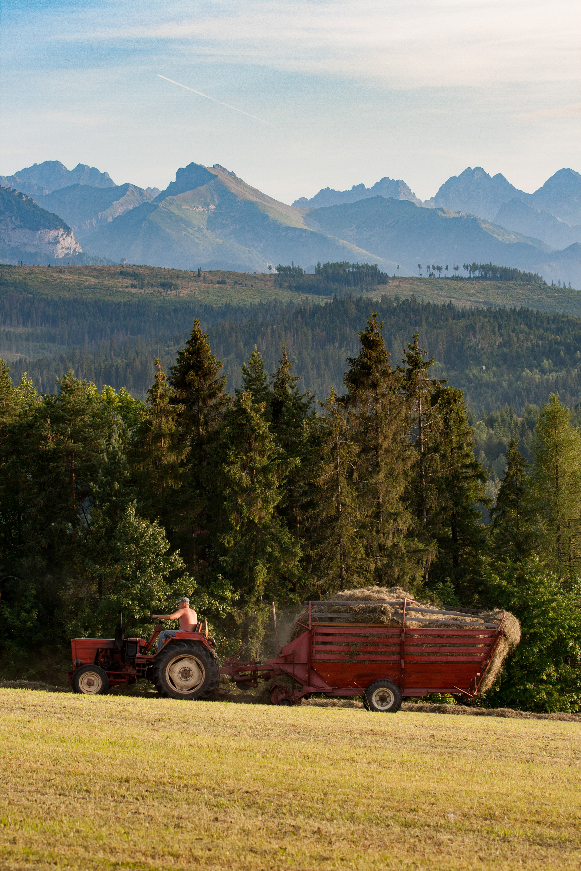 A farmer collecting hay from the field in Łapszanka, August 2017.