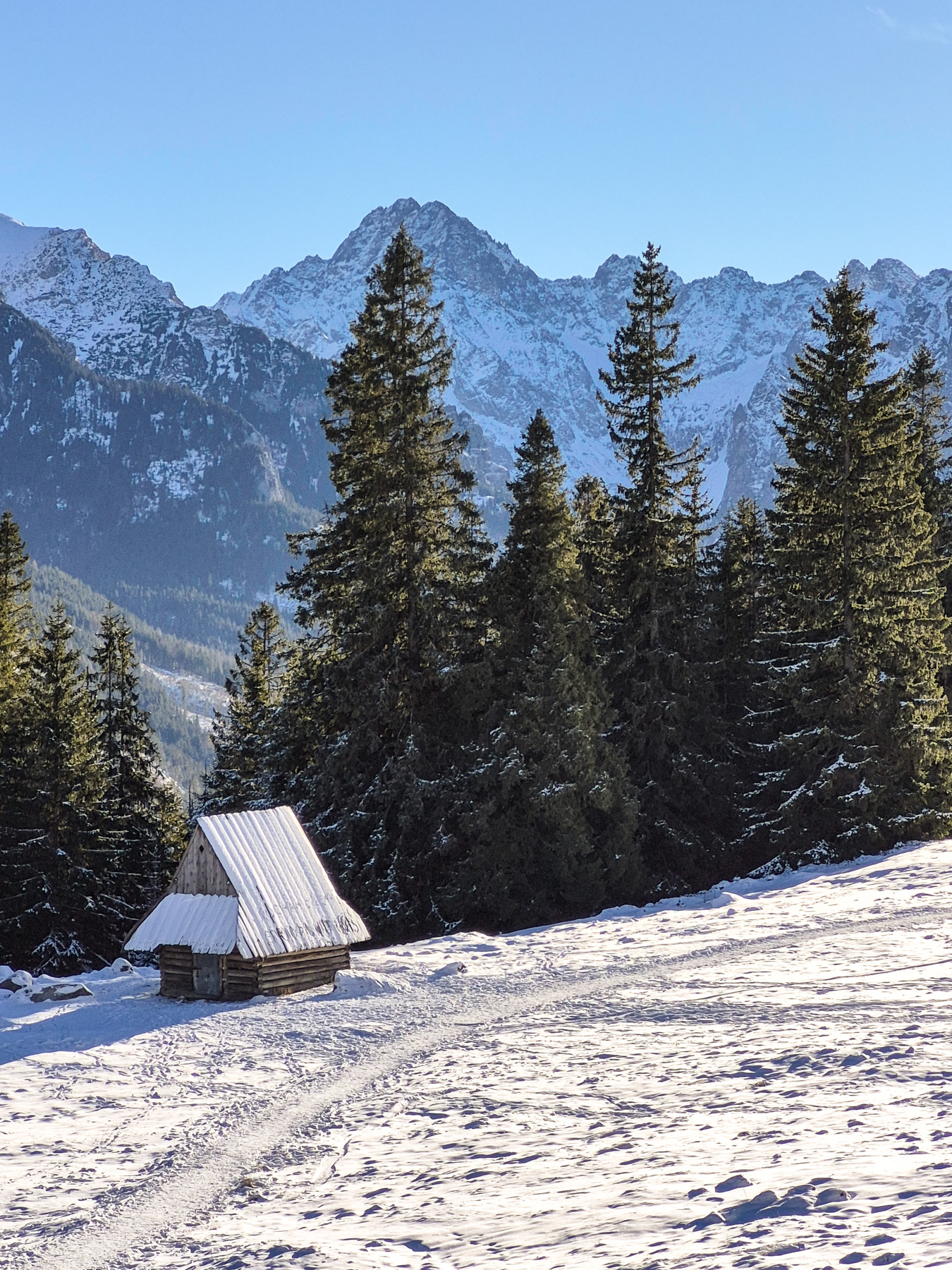 View from Rusionwa Polana, December 2025.