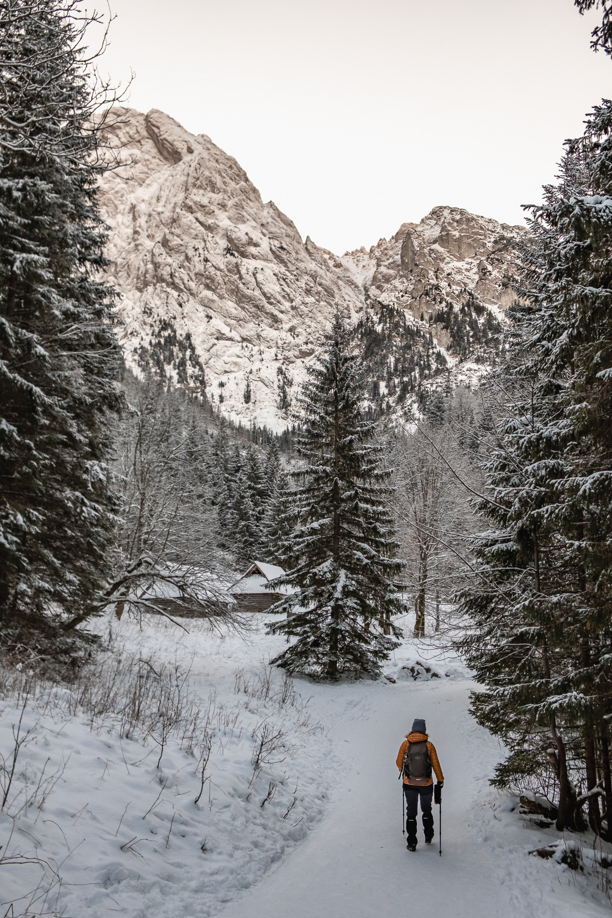 Just before the trail goes high up east, the Strążyska Valley has a small shelter for coffee or soup.