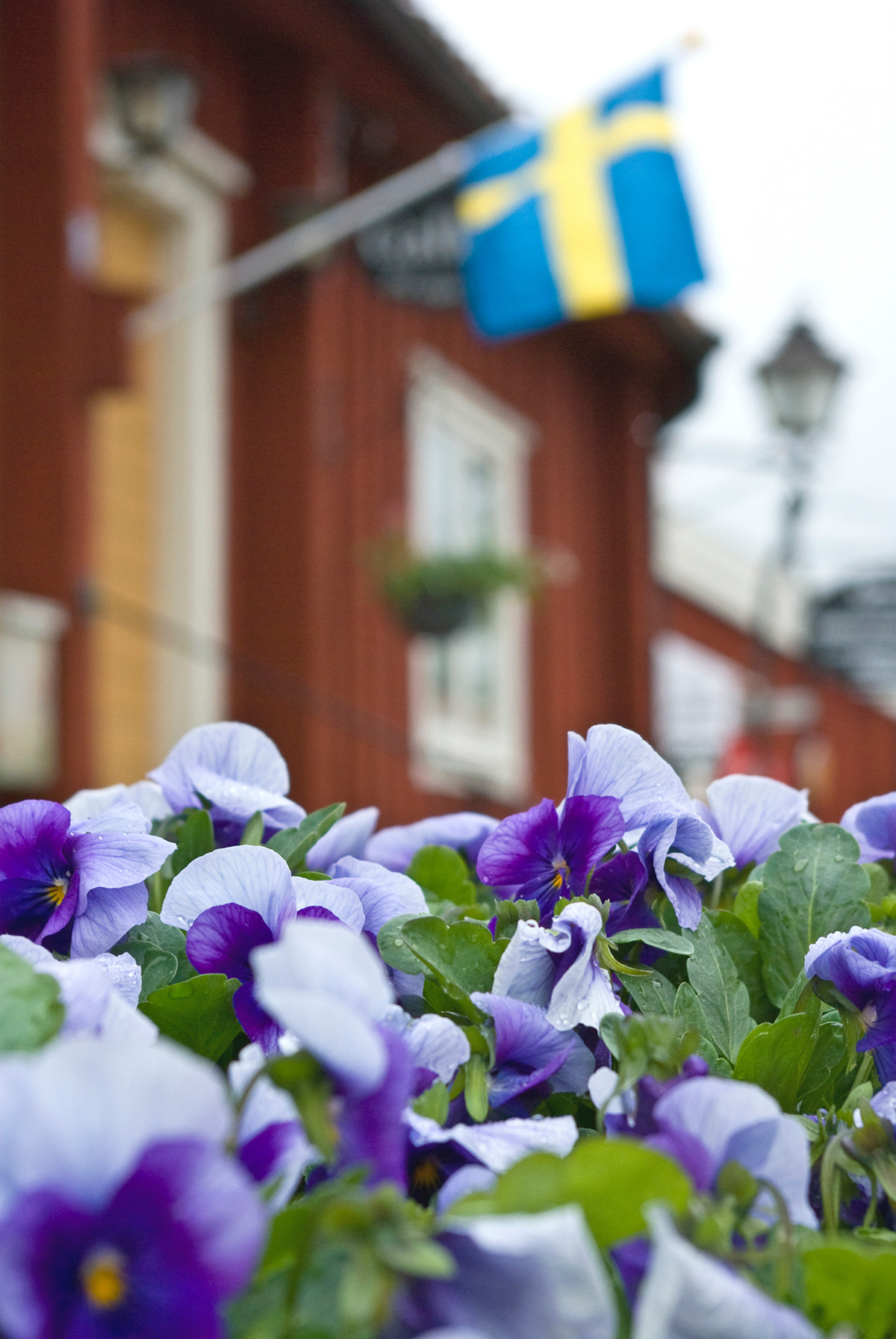 Swedish flag and flowers in the former Husqvarna workers village, May 2007.