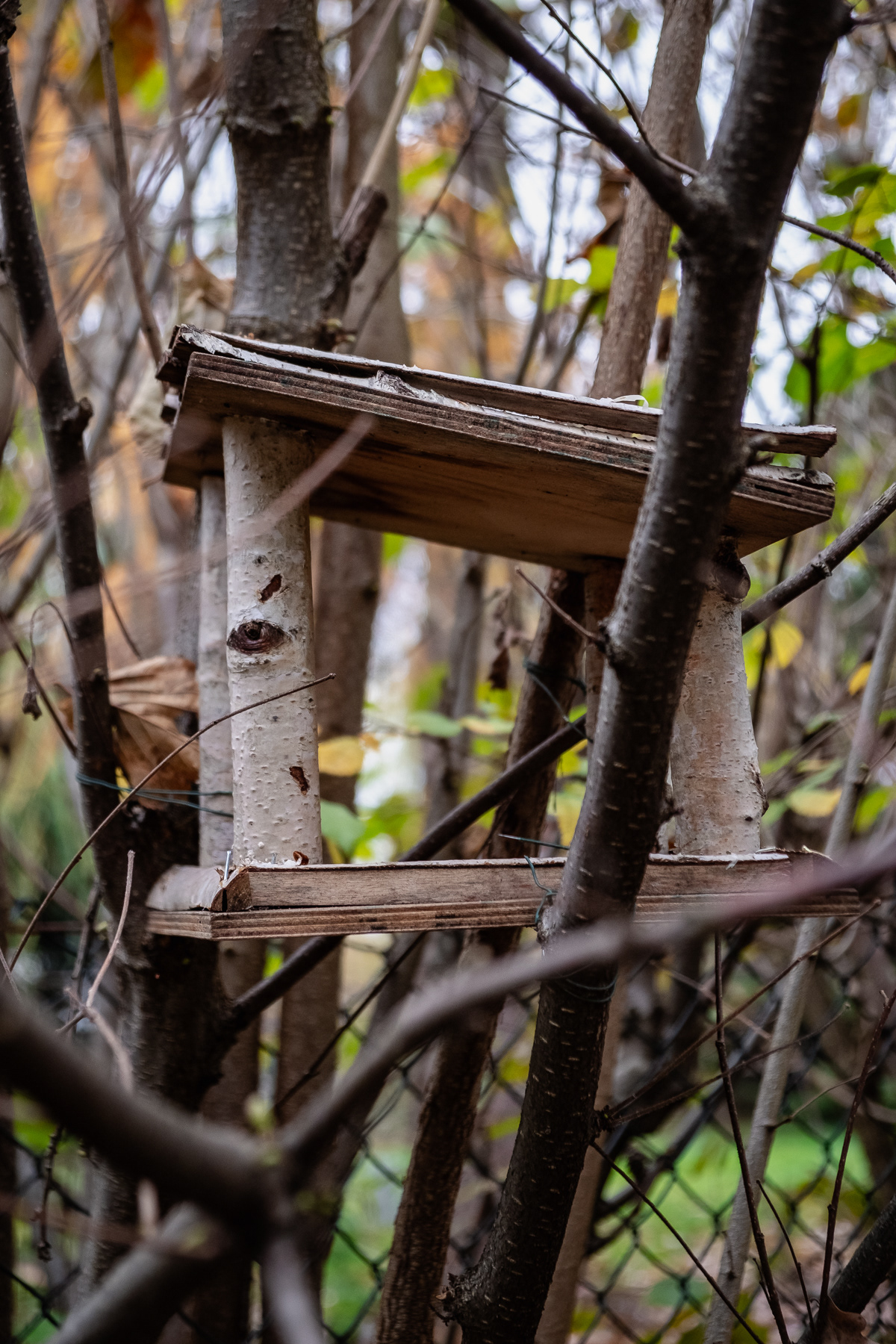Morden bird feeding house at the premises of the Rydlówka.