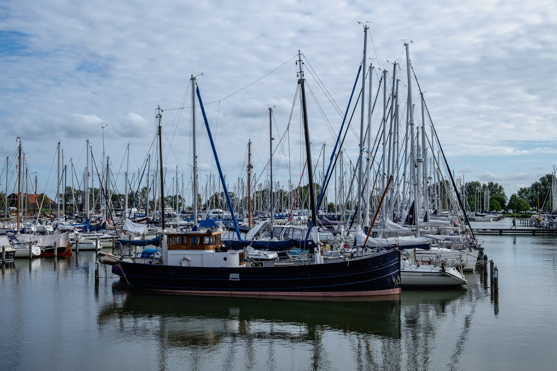 The Hoorn marina, August 2023.