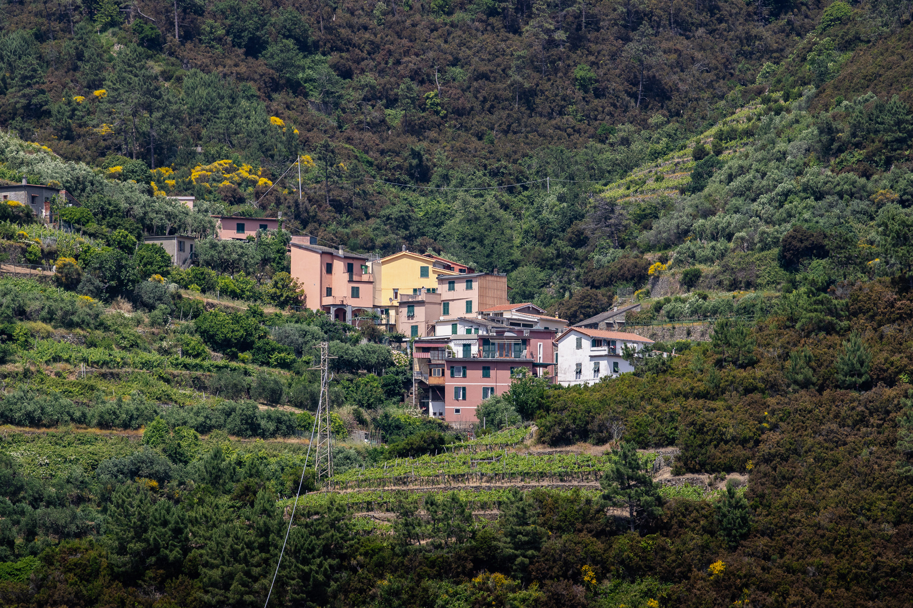 Houses in Groppo seen from the trail.