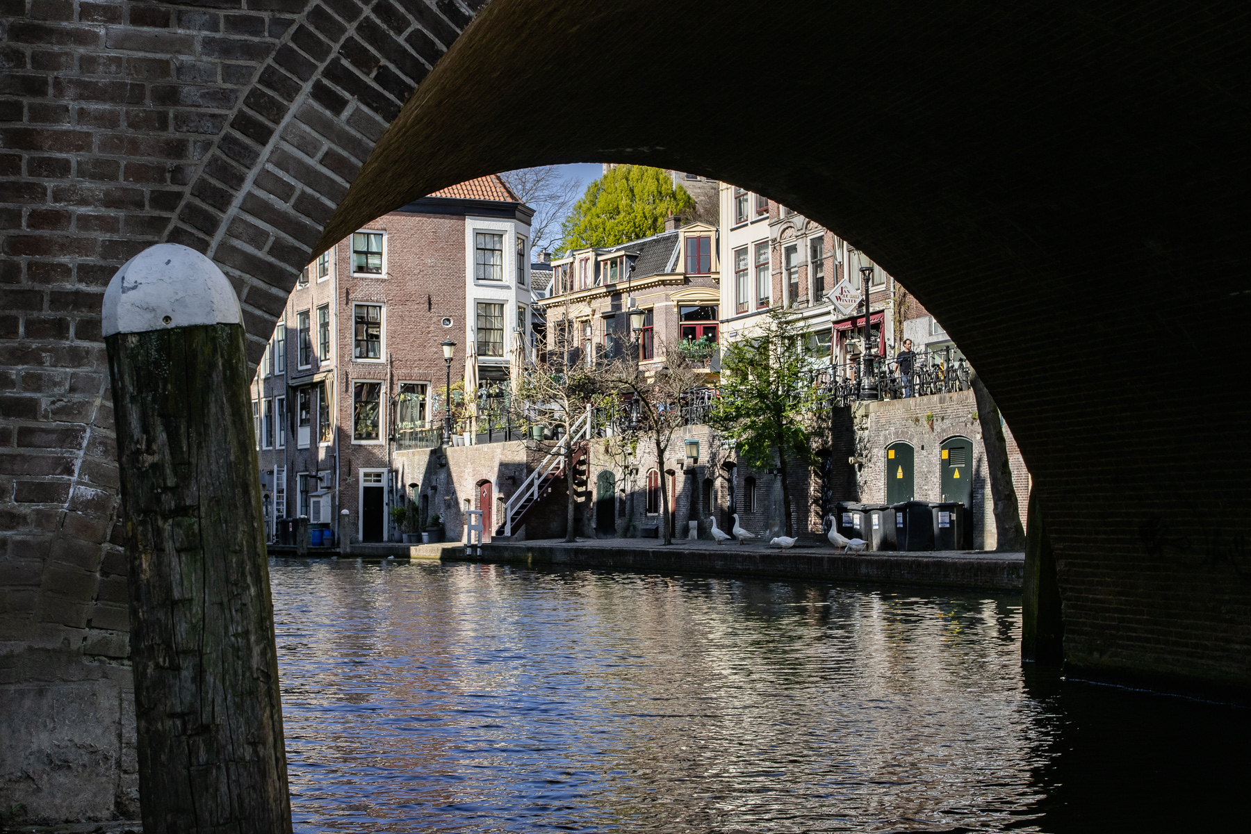 Under the Gaardbridge
