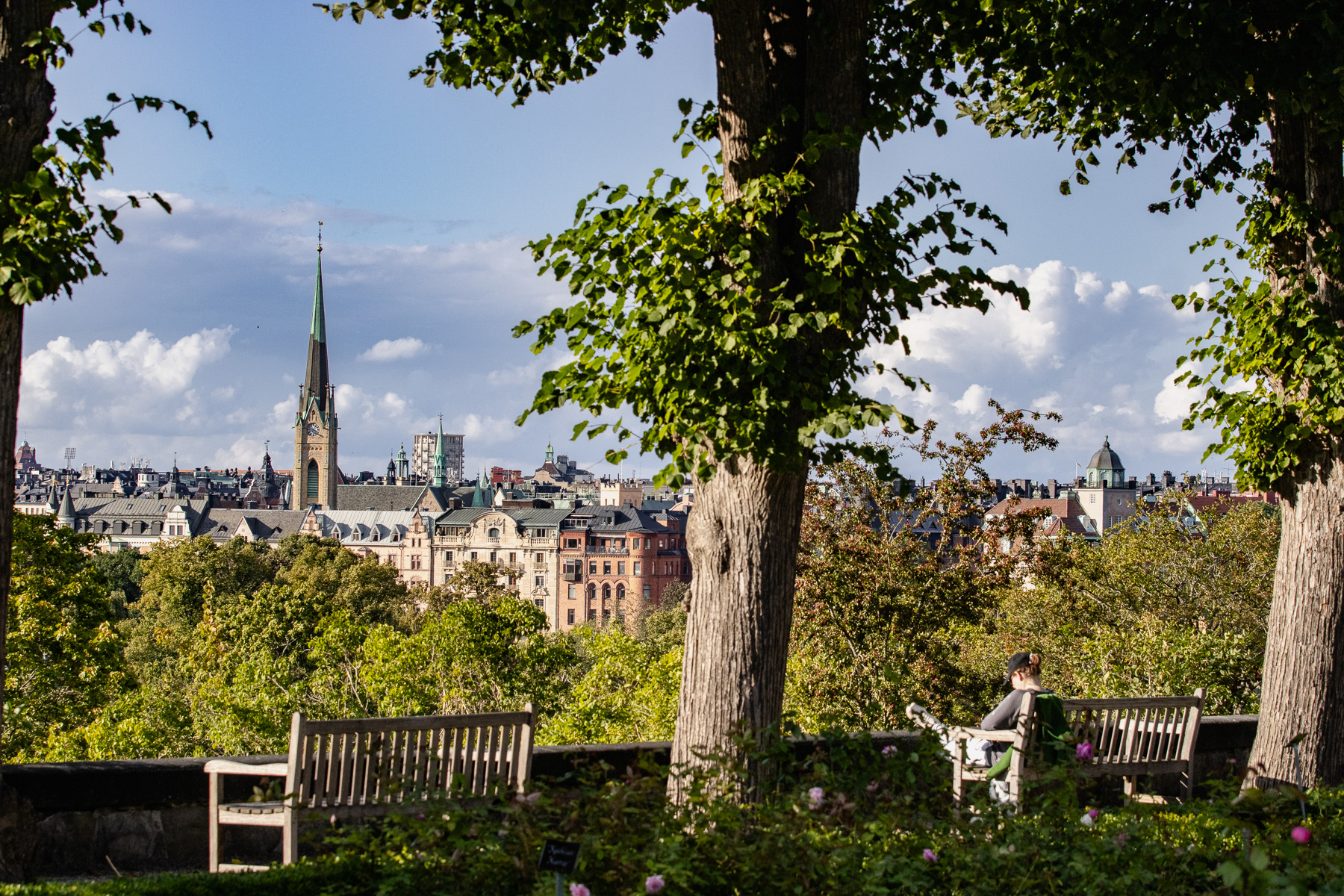 View at Stockholm Östermalm high up from Skansen, September 2025.