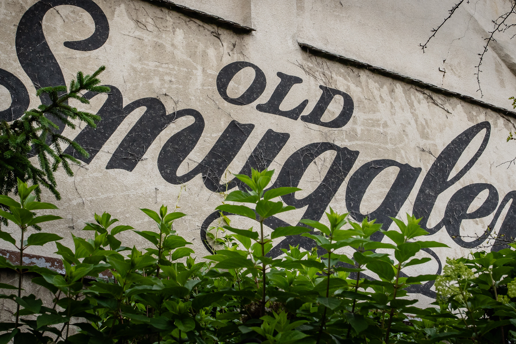 The Old Smuggler.