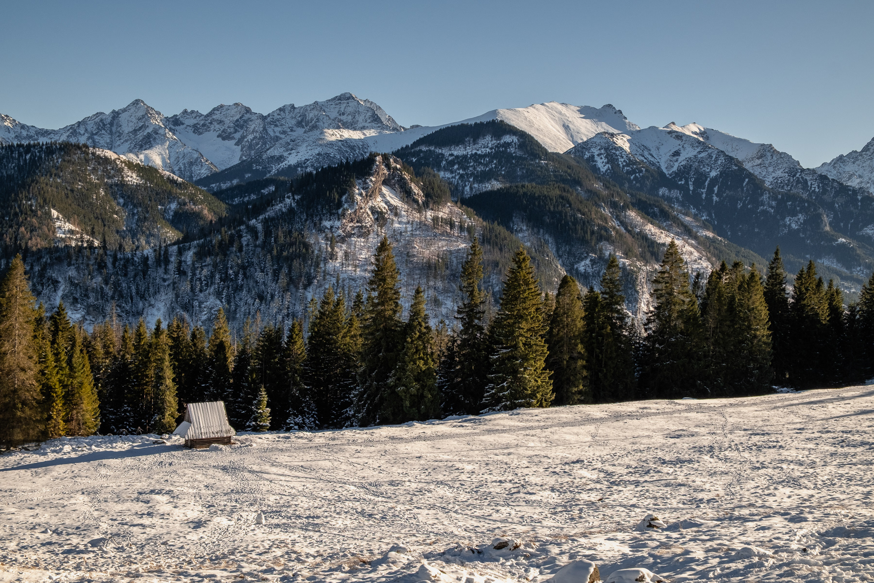 View from Rusinowa Polana, Tatra Mountains, December 2025.