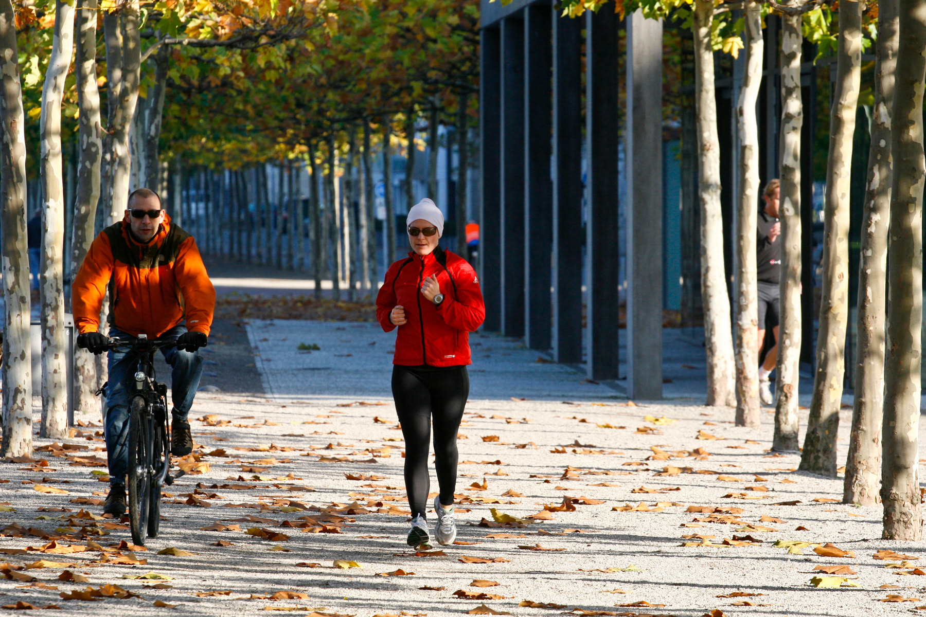Out during a sunny autumn day.