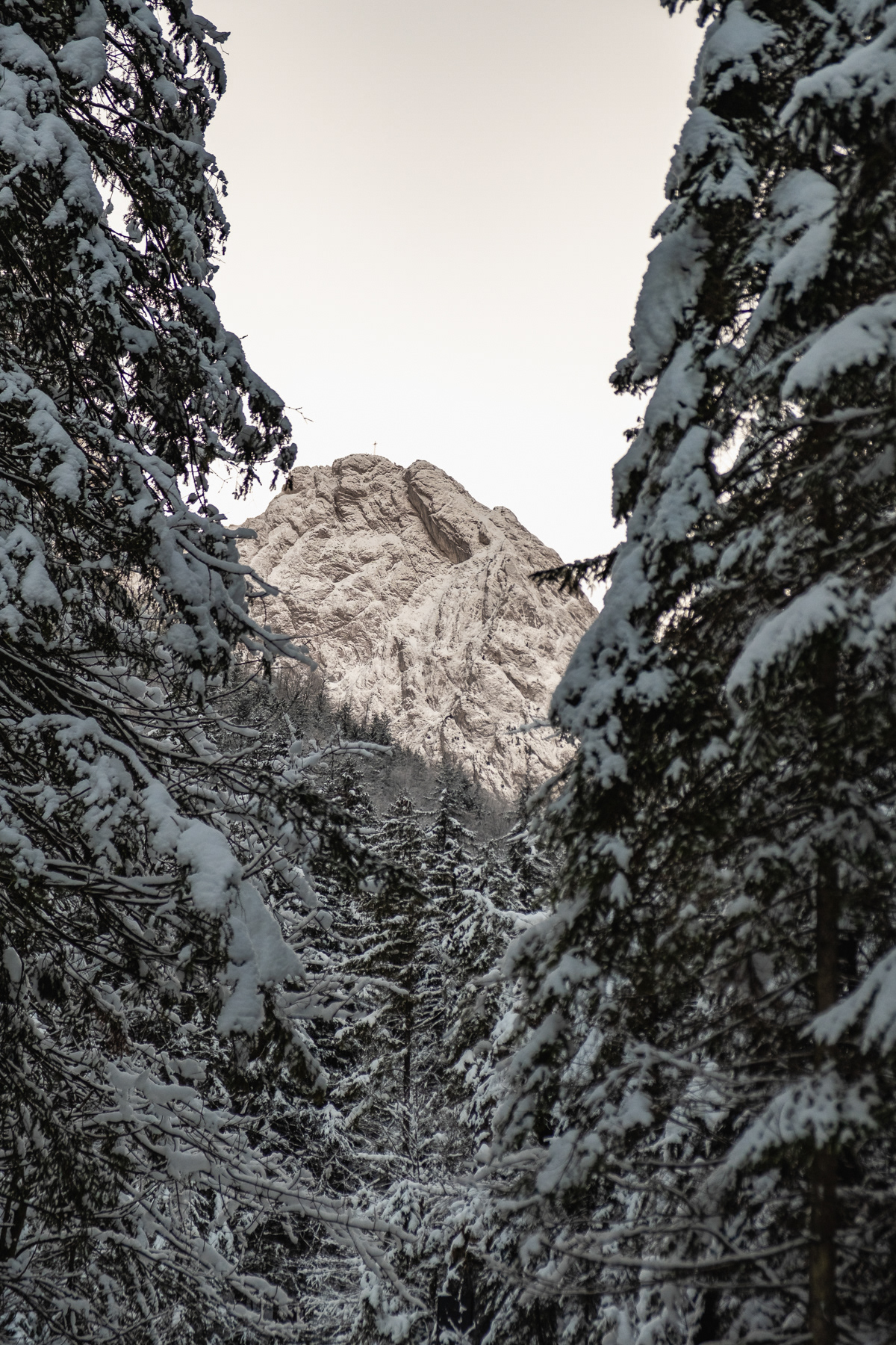 Mount Giewont announces itself early on the hike.